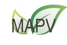 MAPV Begins!
