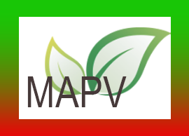 Judging of Photos for MAPV Ends