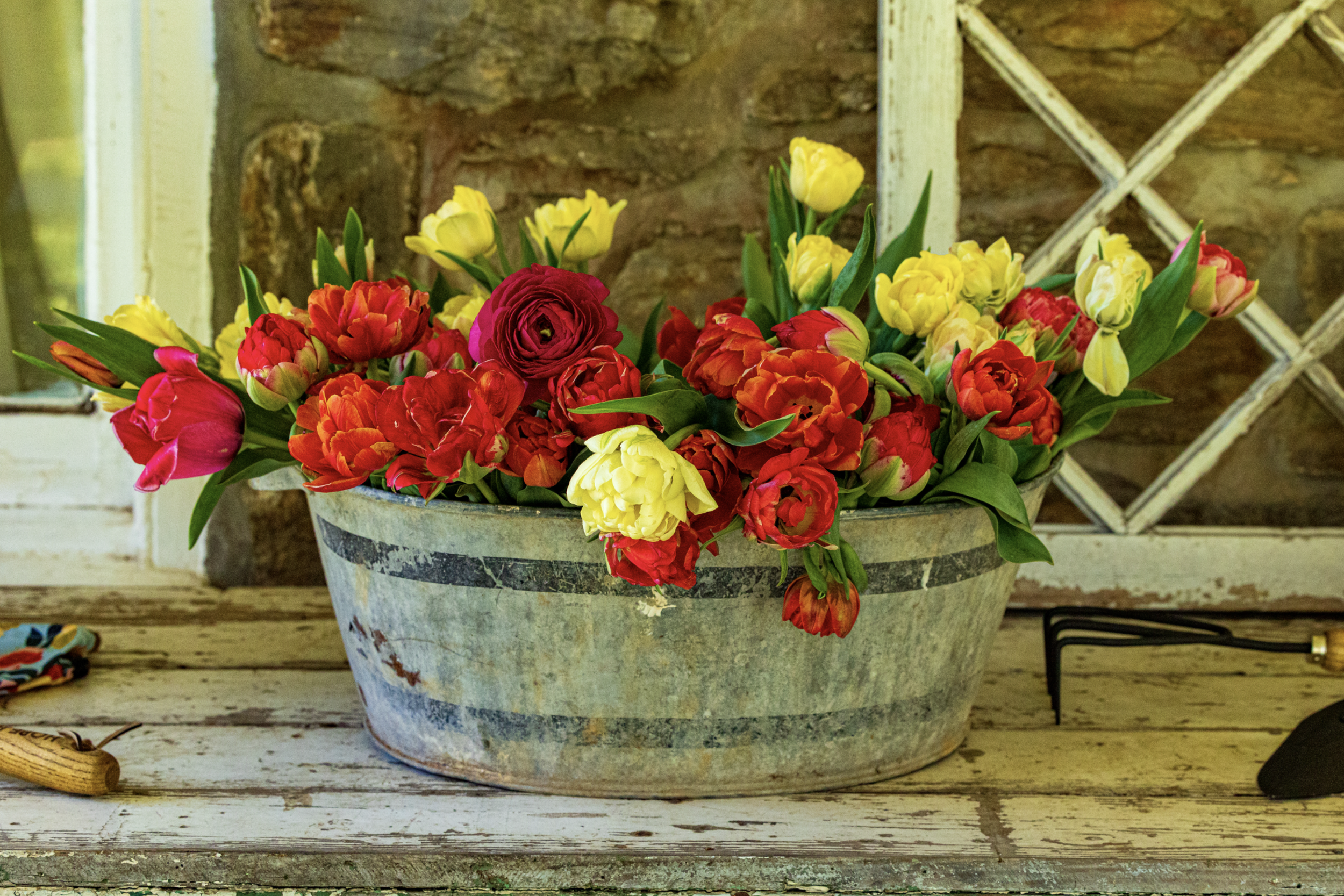 First Place: “Wash Pan Flower Garden”, Photographer - Ken Lane