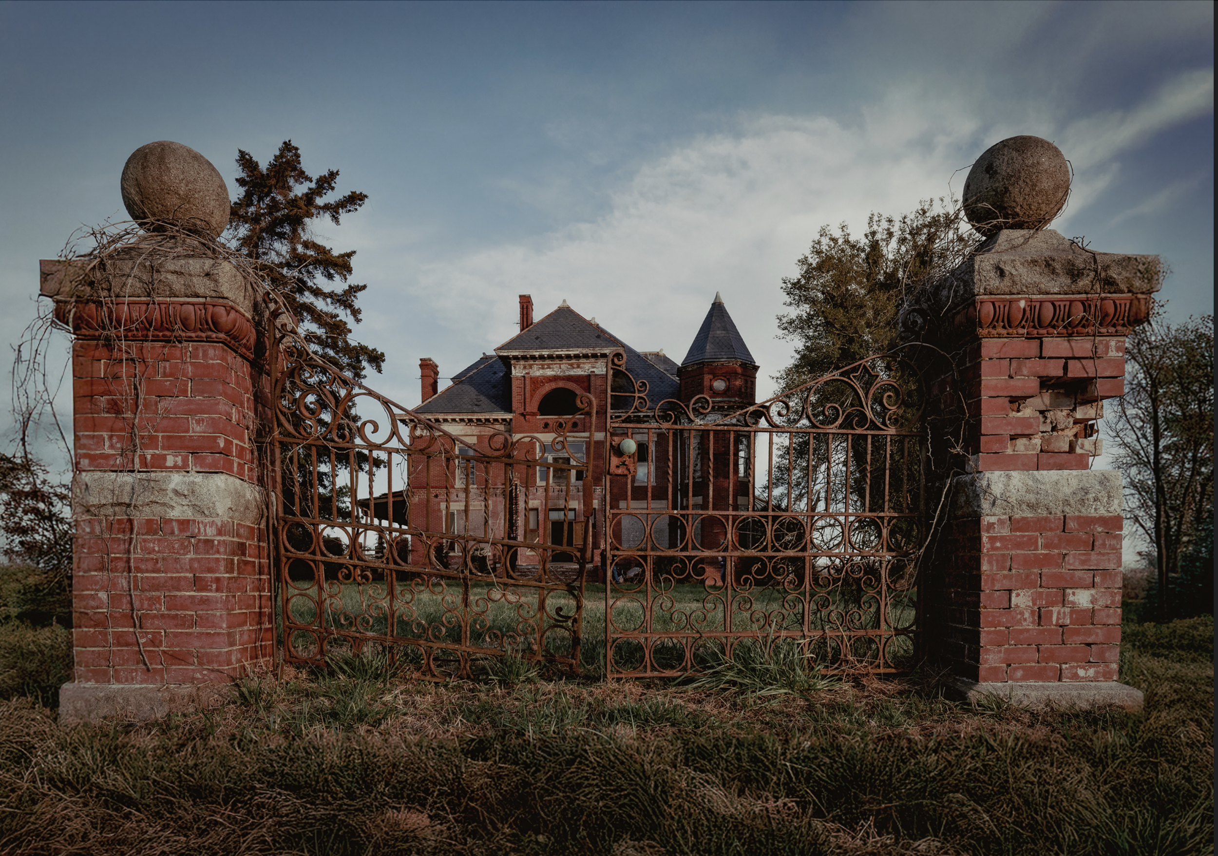 Experienced Second Place: "Decaying Beauty" by Susan Berry