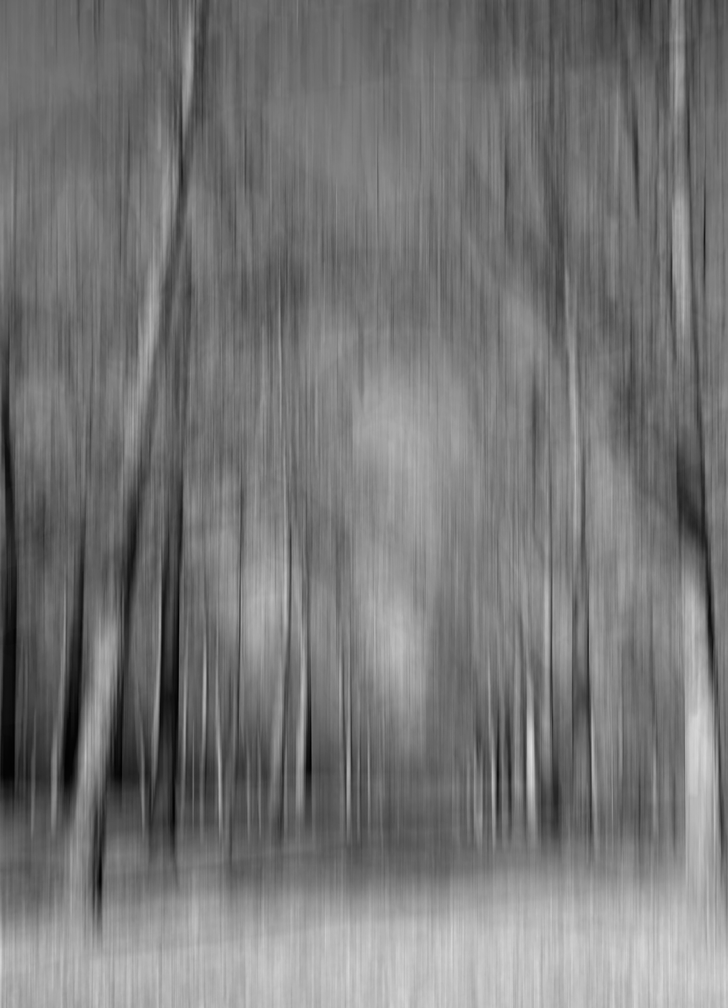 Second Place: " A Walk in the Woods" by Patricia Berry