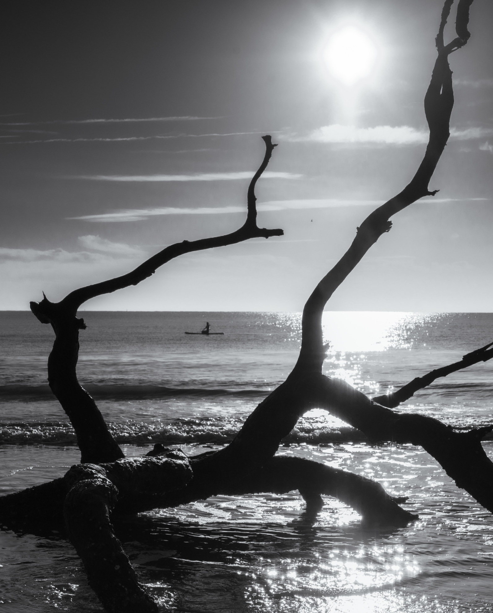 Second Place: "Misty" by Richie Paul