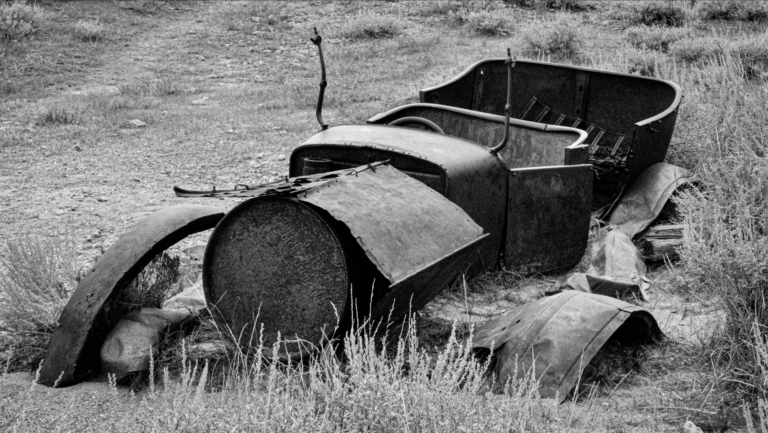 Experienced Third Place: "Plum Worn Out" by Ken Lane