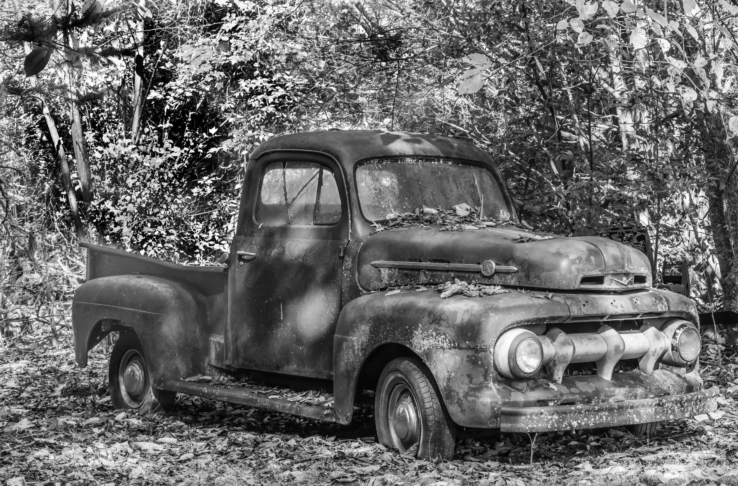 Intermediate First Place: "I Can't Remember Where I Parked" by Dan Huddleston