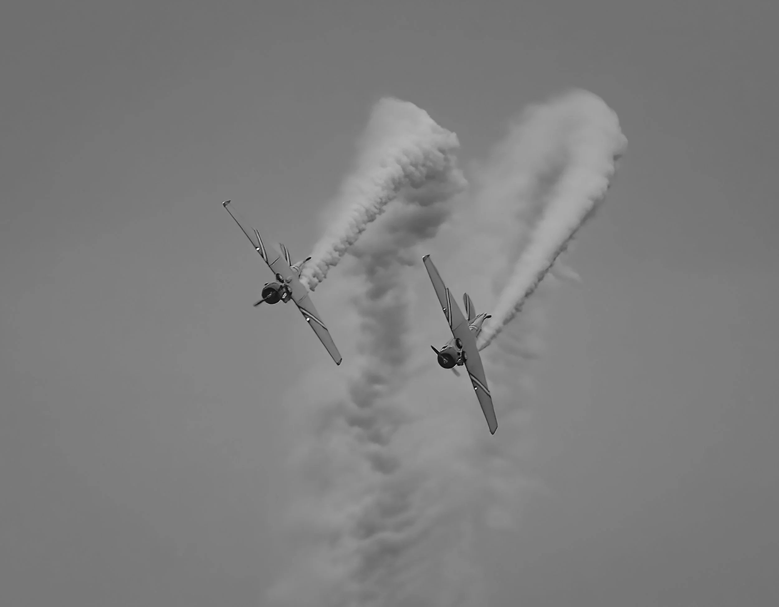 Second Place Black and White, Experienced: “Leesburg Airshow From My Backyard” by Patricia Berry