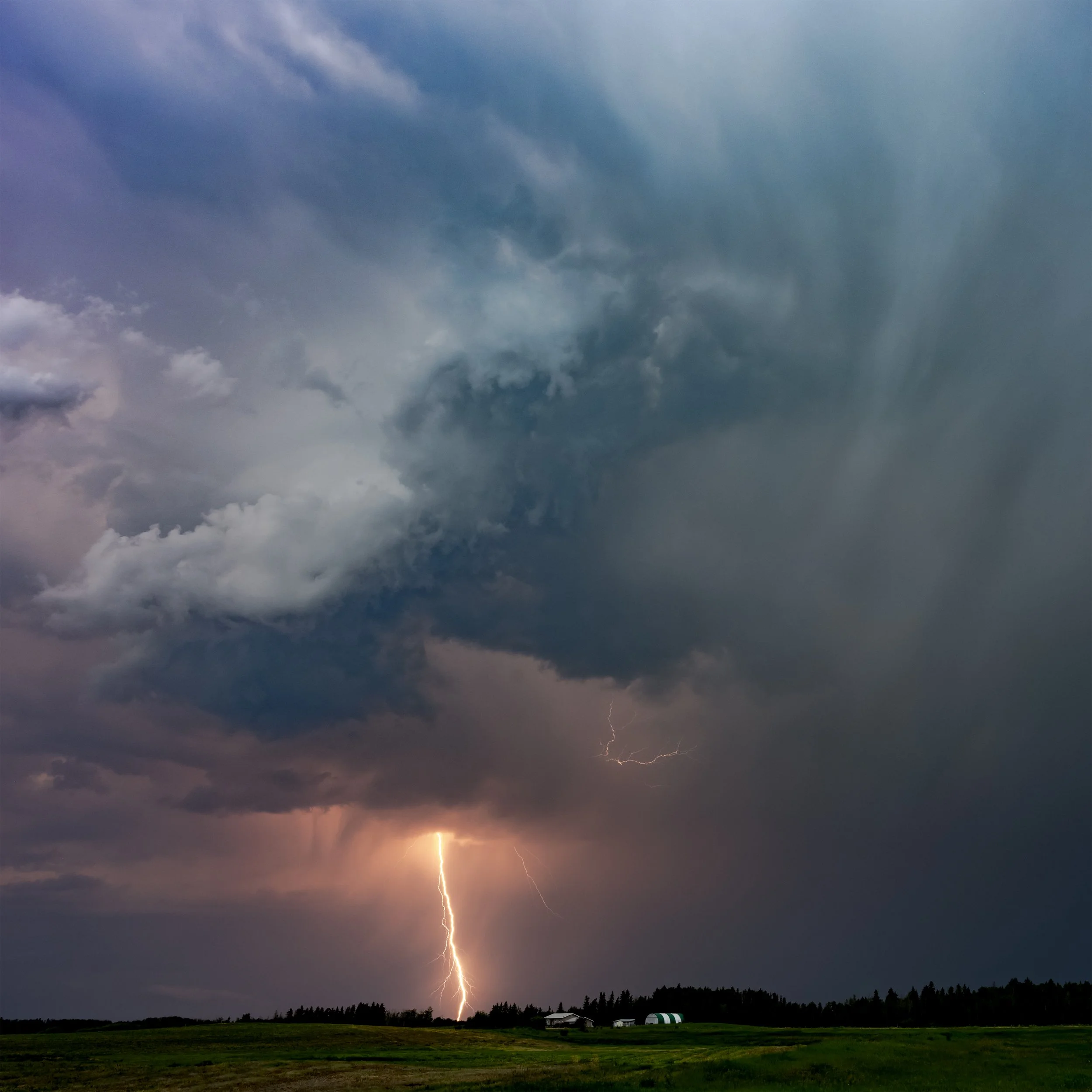 Honorable Mention Experienced Color: "White Lightning" by Sue Irish