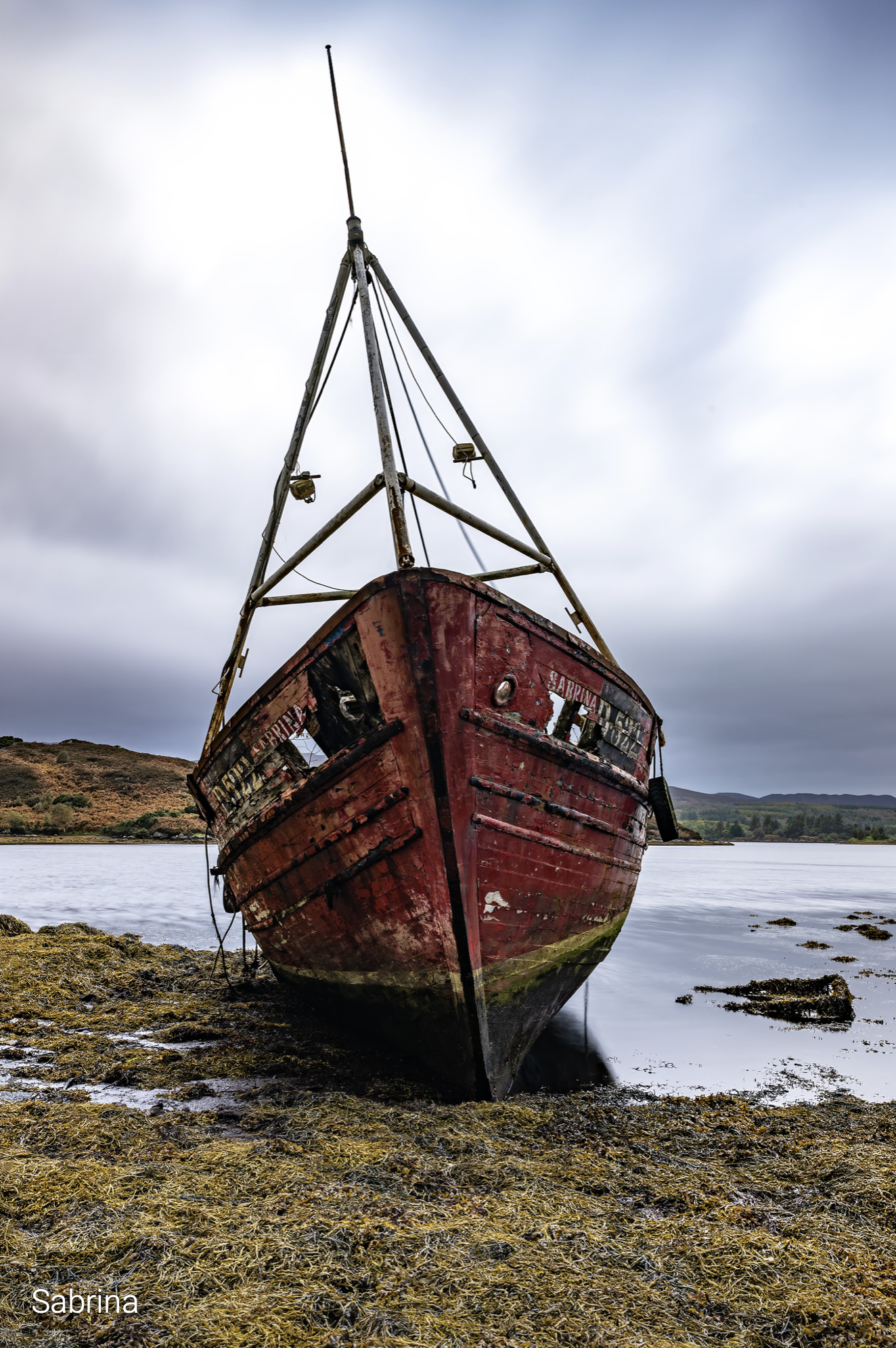 Honorable Mention: "Sabrina" by Sue Irish