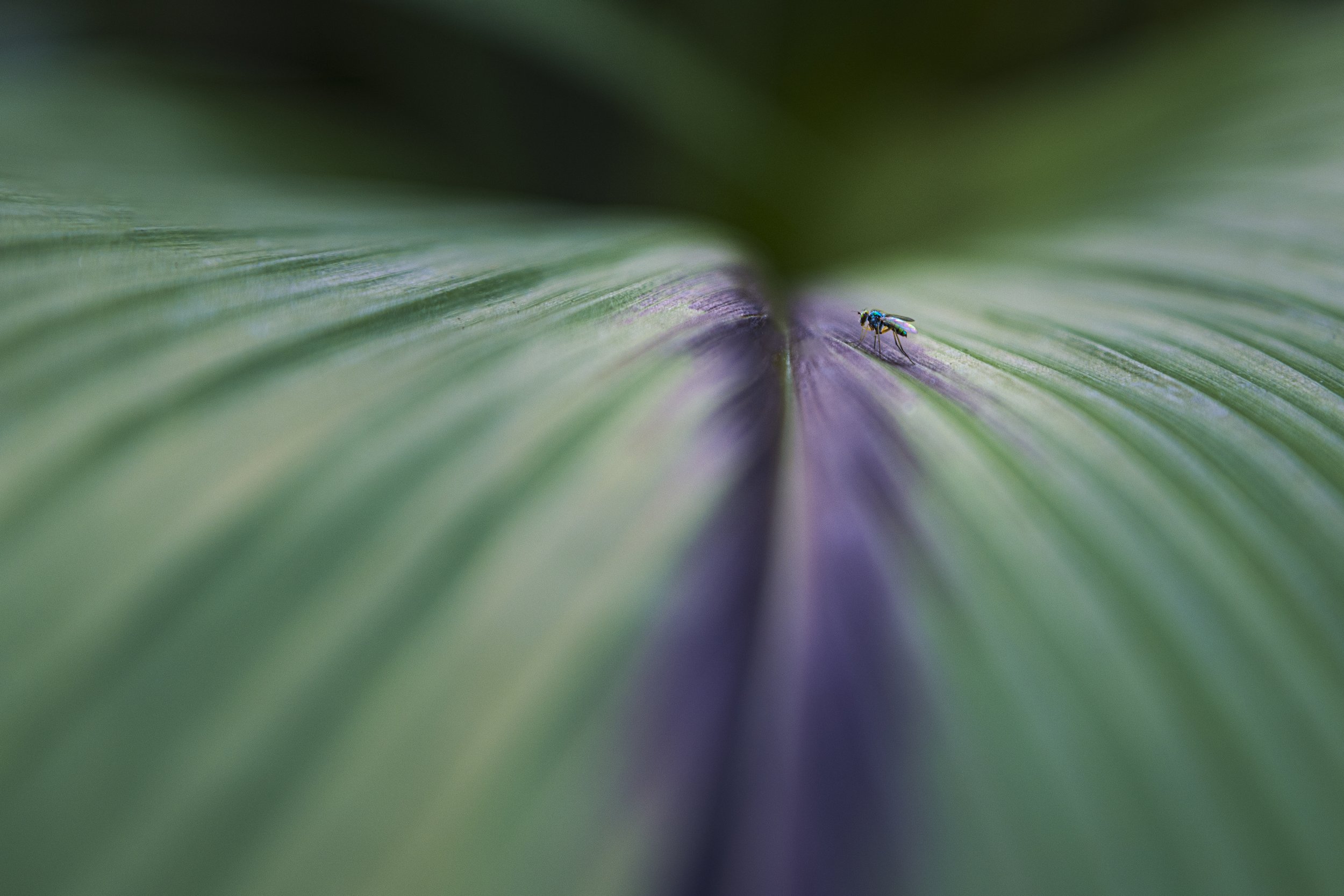 Third Place Experienced Color: "At the Edge of a Colorstorm" by Doug Mattice