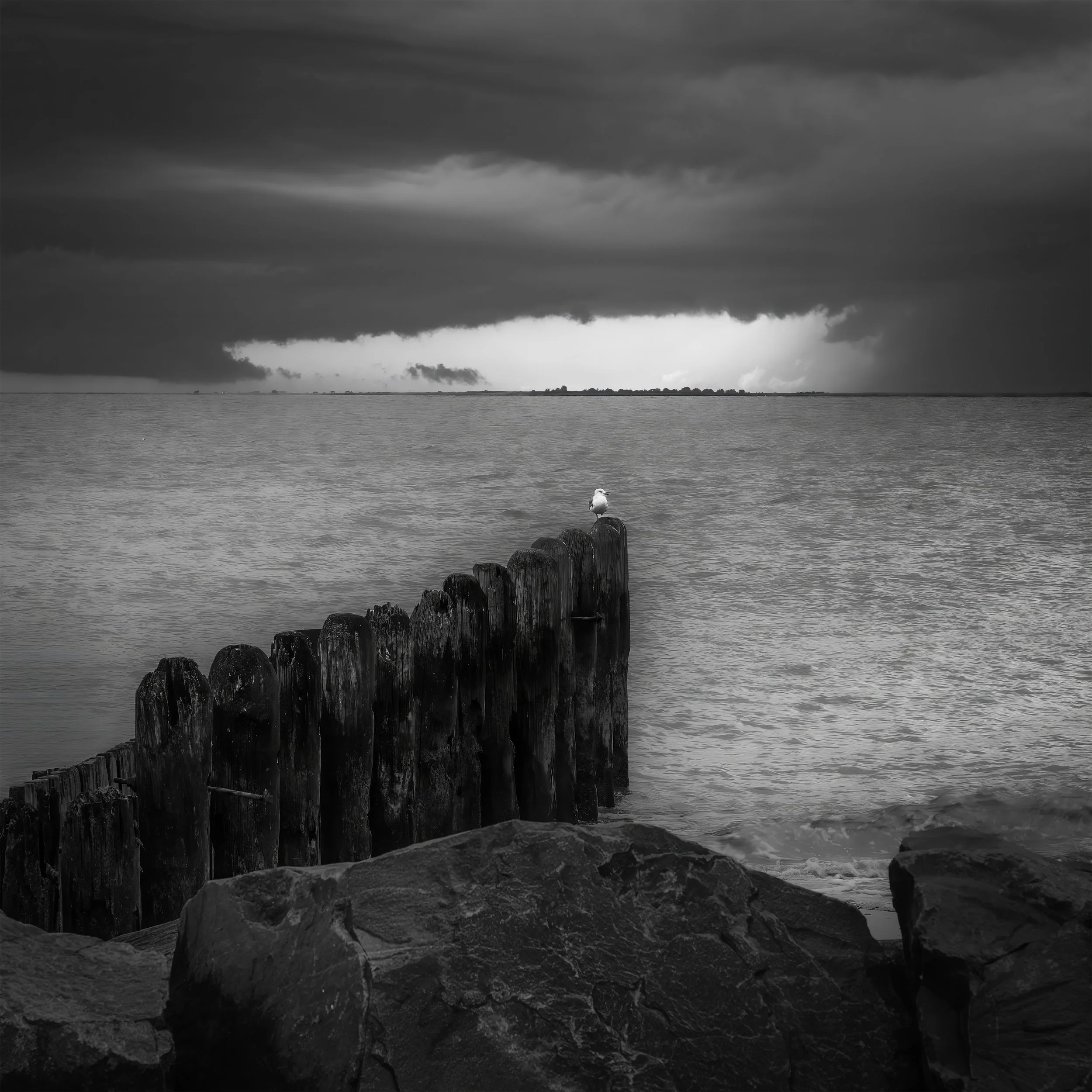 First Place Experienced  Monochrome: "Cape May Lookout" by Sue Irish