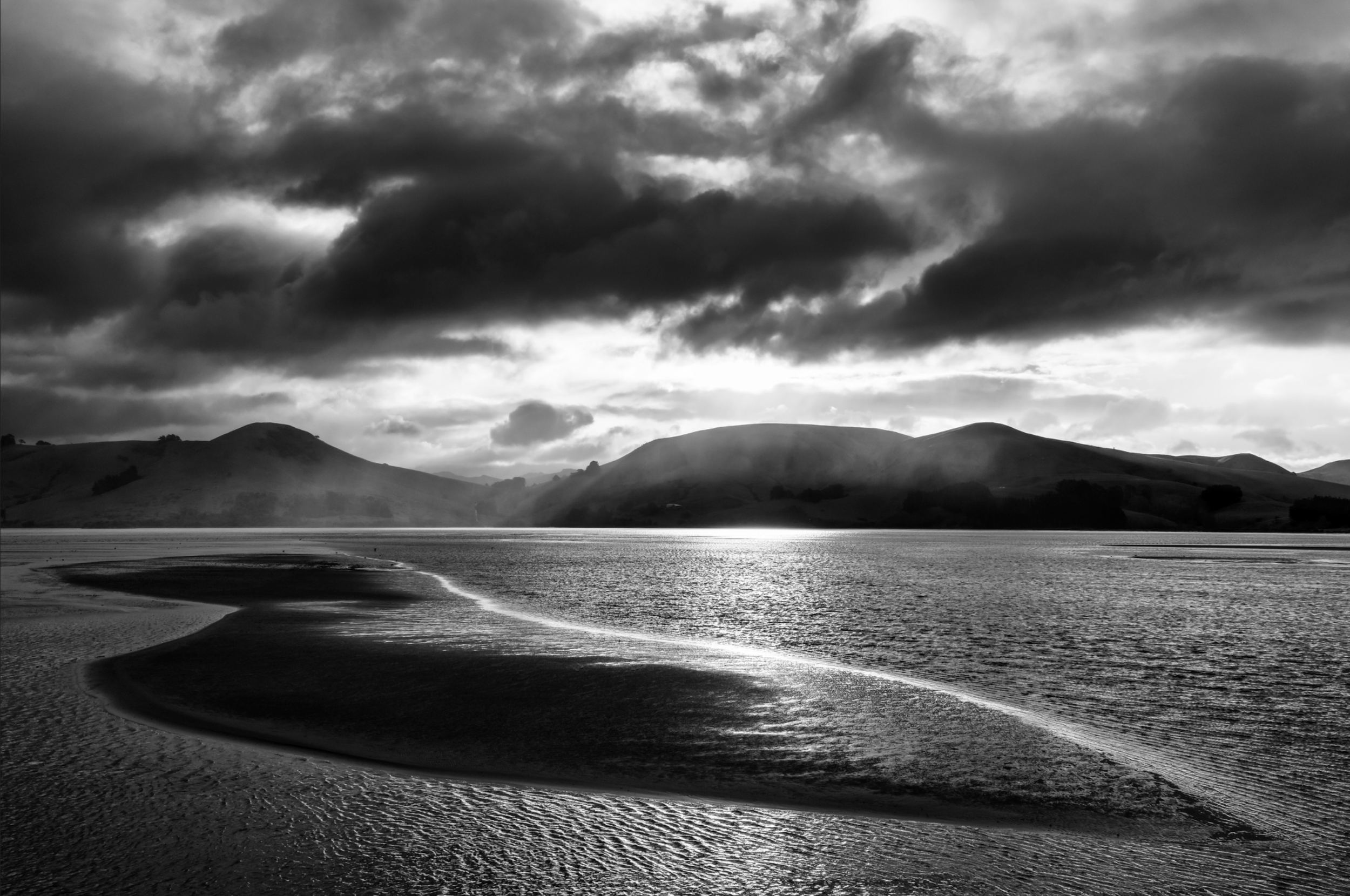 Second Place: "Otago Peninsula- NZ" by Michael Murphy