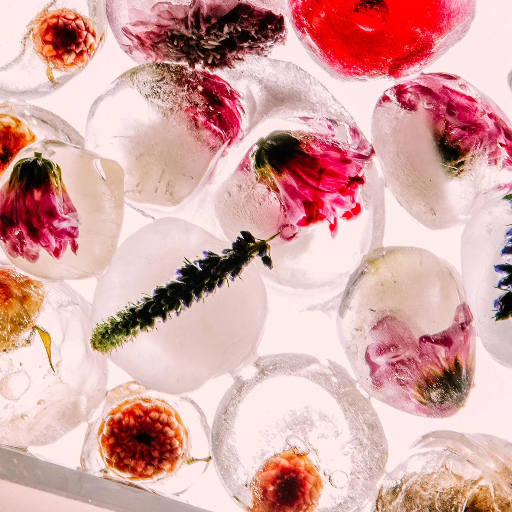 Capture One Session0519-Edit.jpg