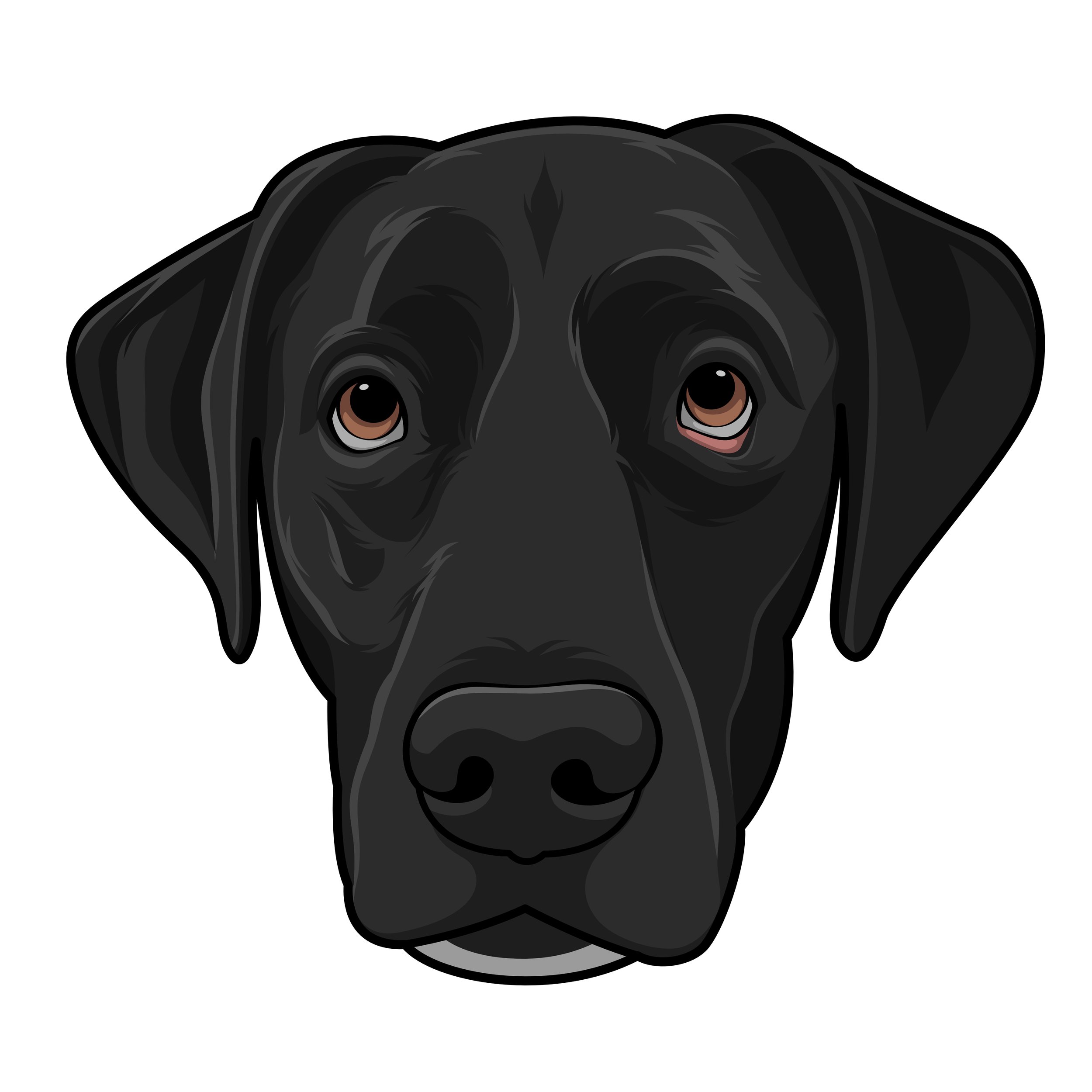 fiverr(dandarabaris)2.jpg