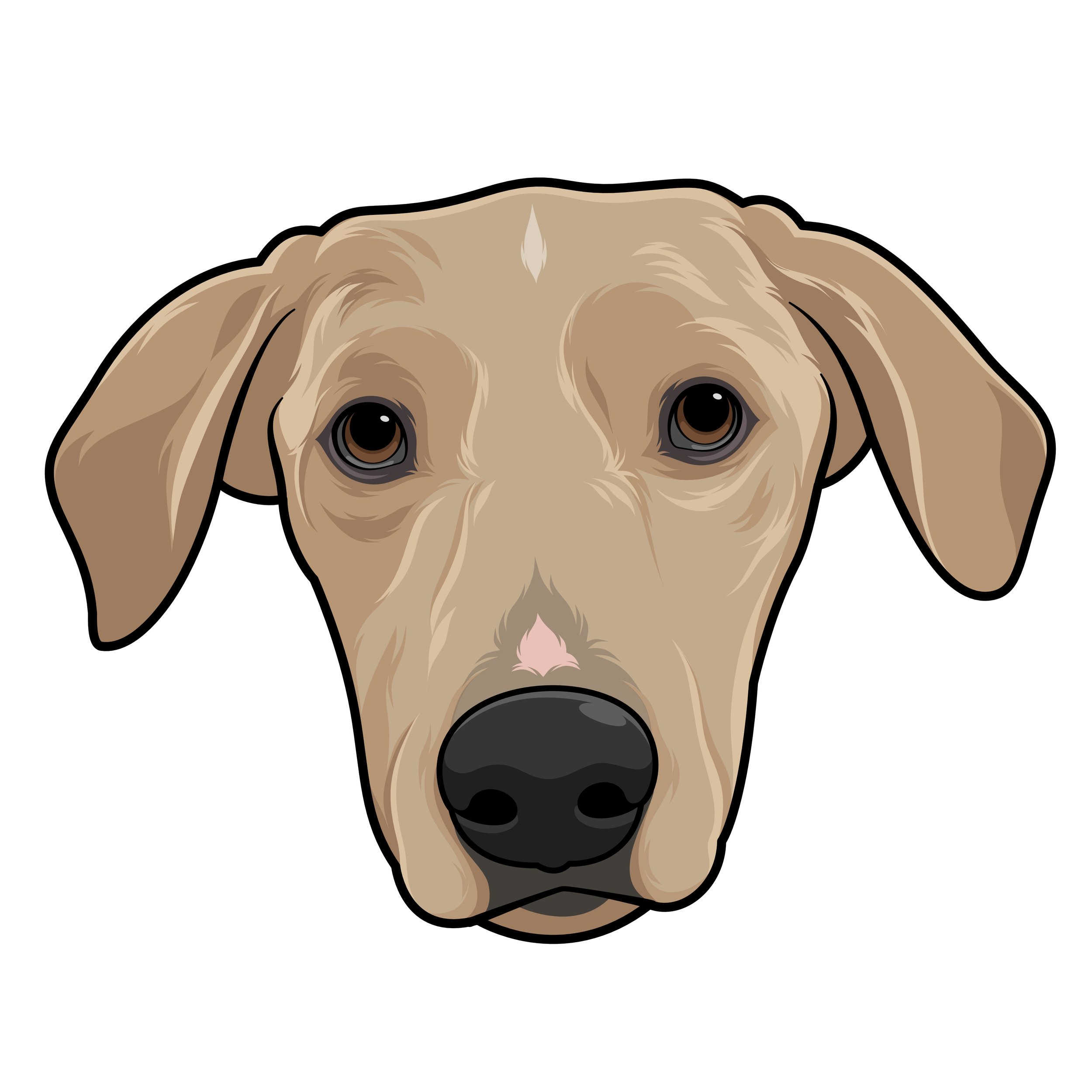 fiverr(dandarabaris)5.jpg