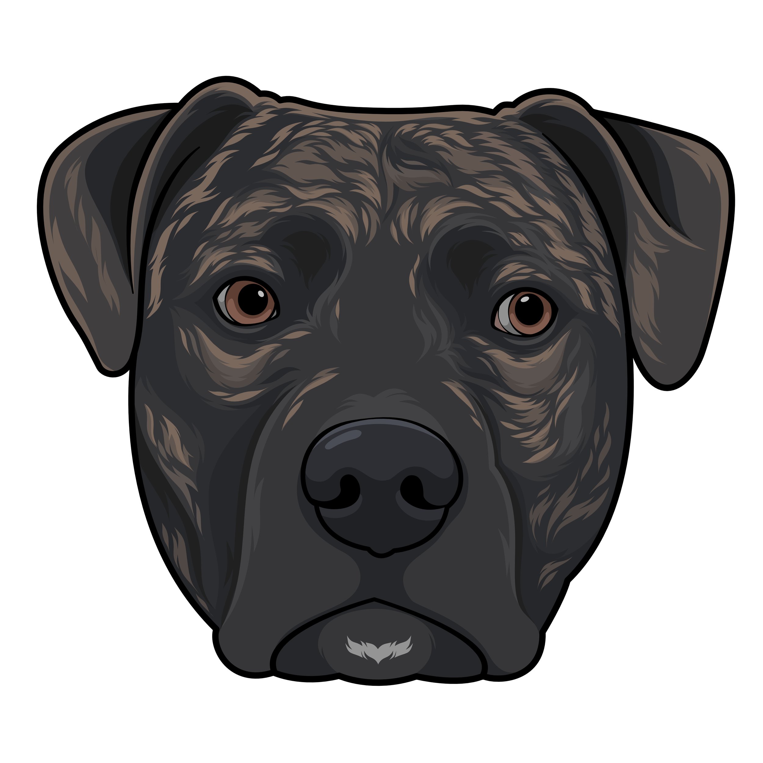 fiverr(dandarabaris)4.jpg