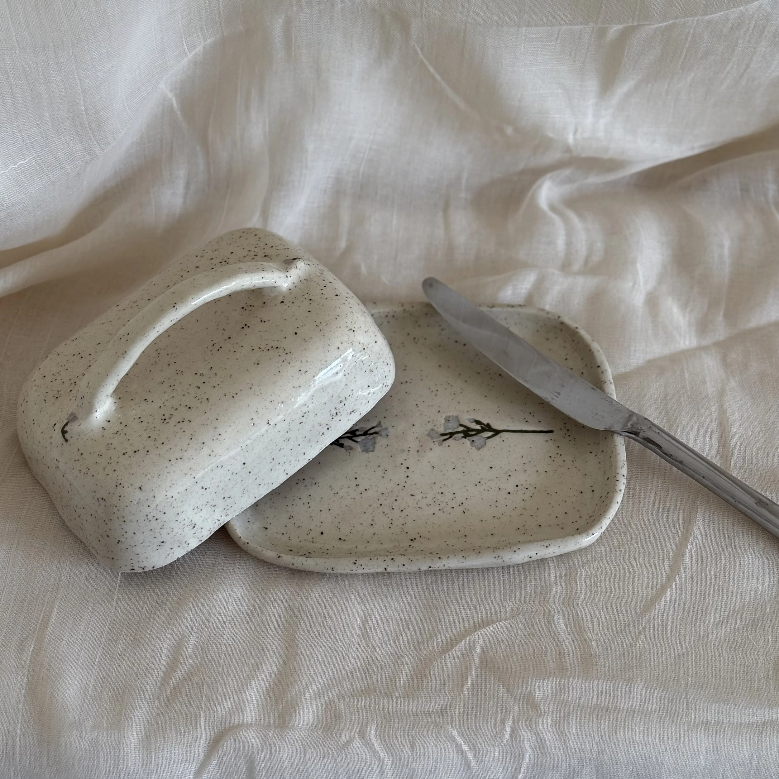 Photo 3-1-26, 10 09 40 am.jpg