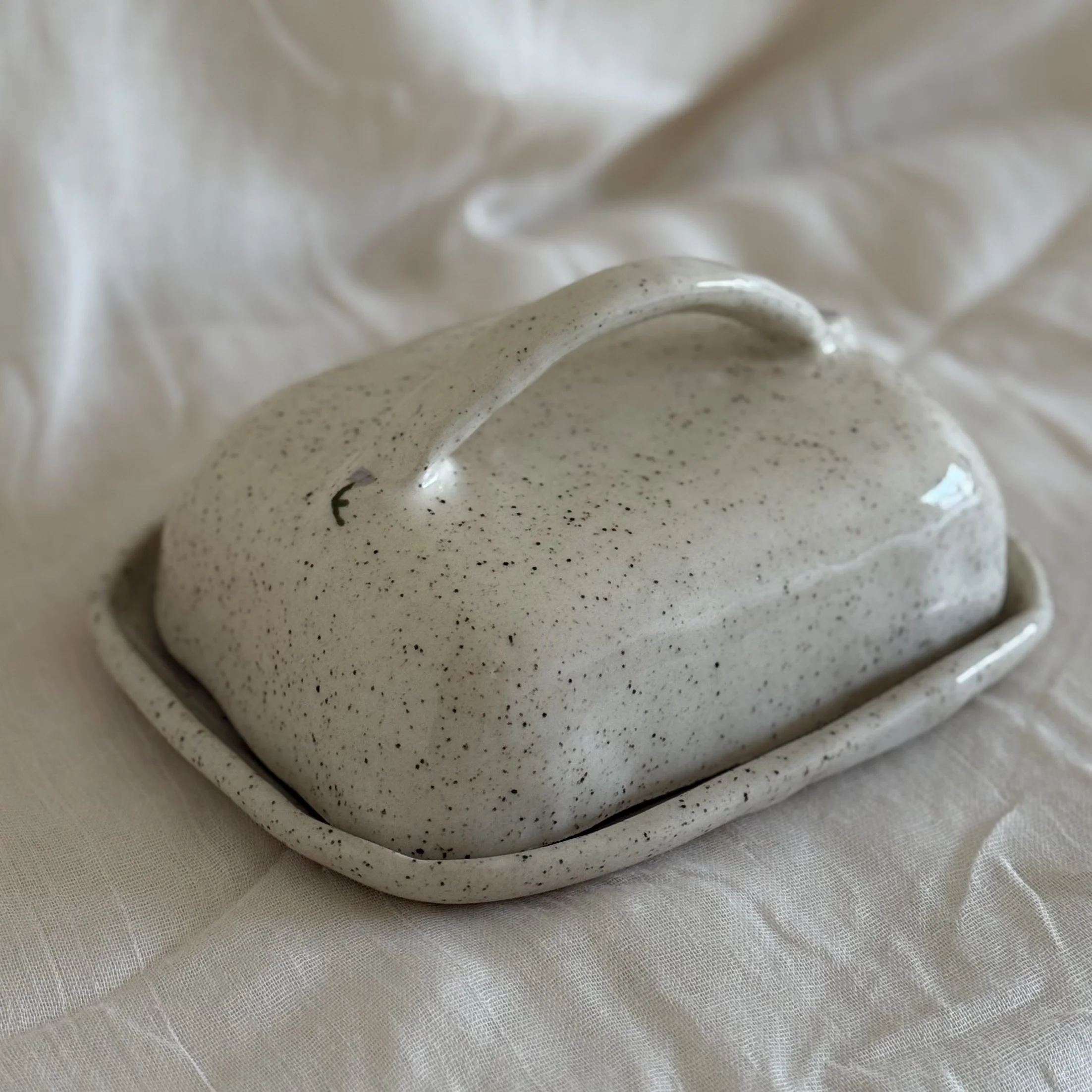 Photo 3-1-26, 10 09 06 am.jpg