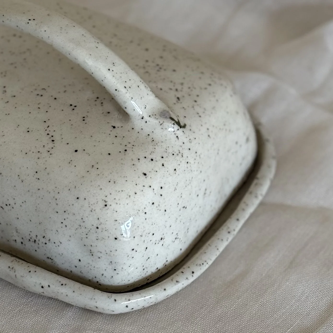 Photo 3-1-26, 10 09 15 am.jpg