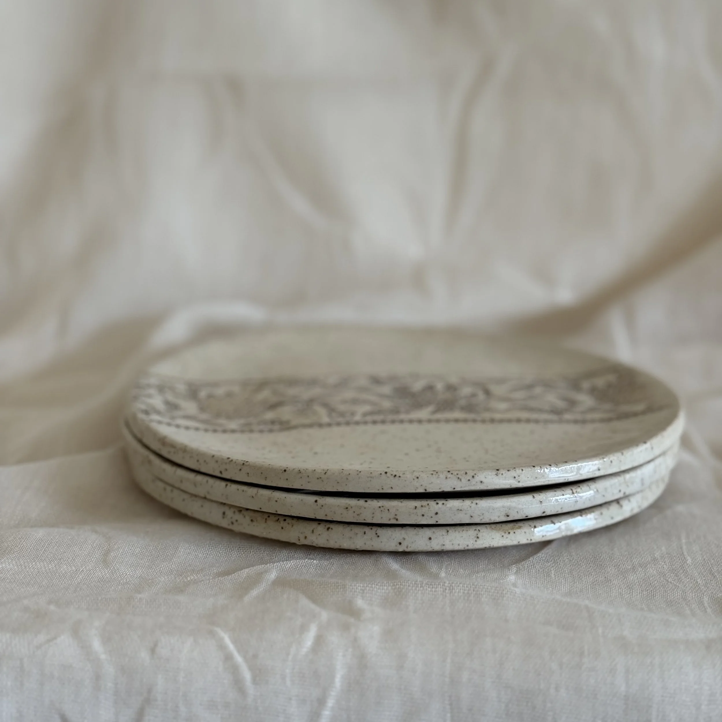 Photo 3-1-26, 10 12 45 am.jpg