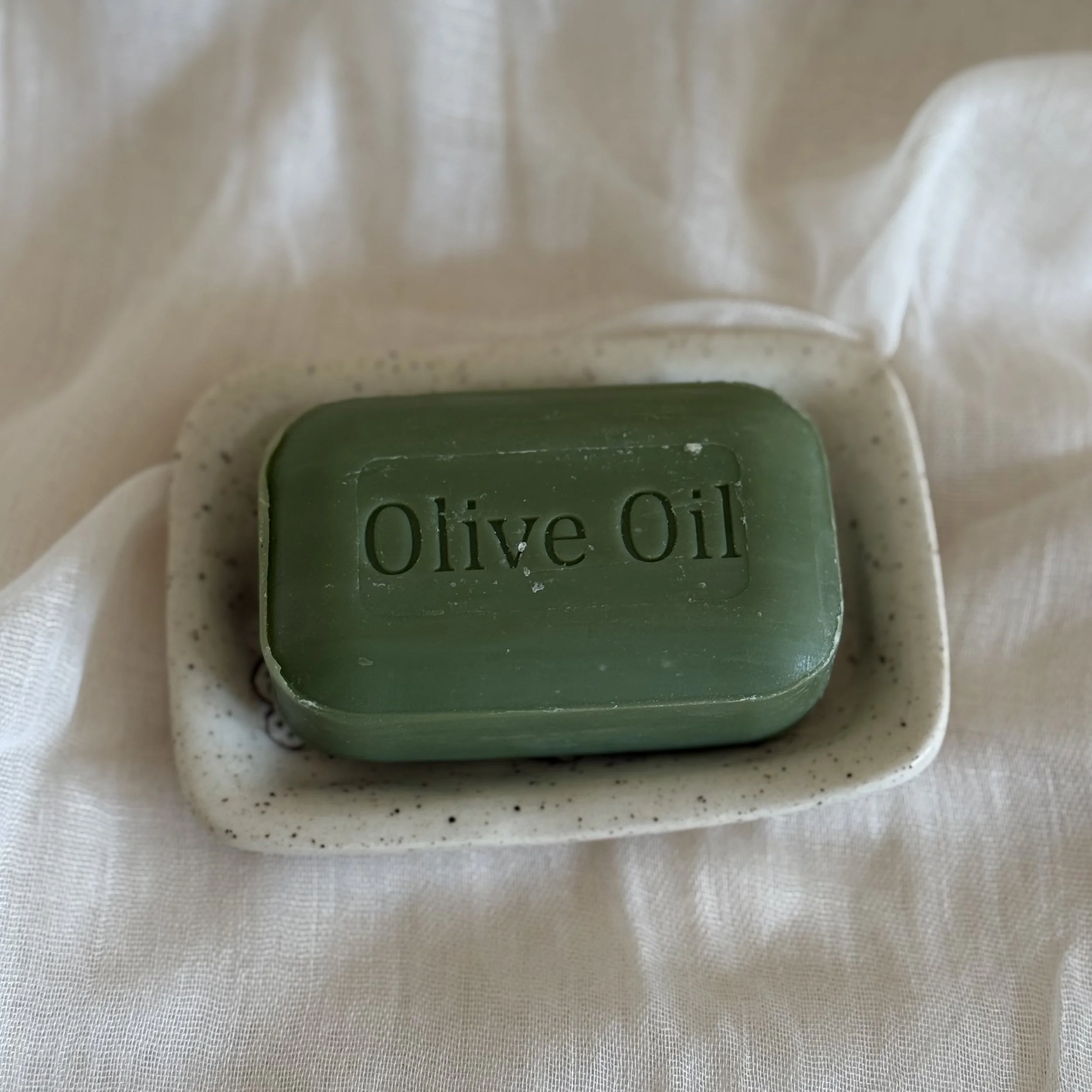 Photo 3-1-26, 10 31 09 am.jpg