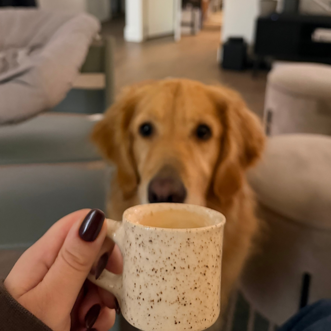 A person holding a speckled ceramic mug filled with a hot beverage, with a golden retriever dog looking at the mug in a cozy living room.