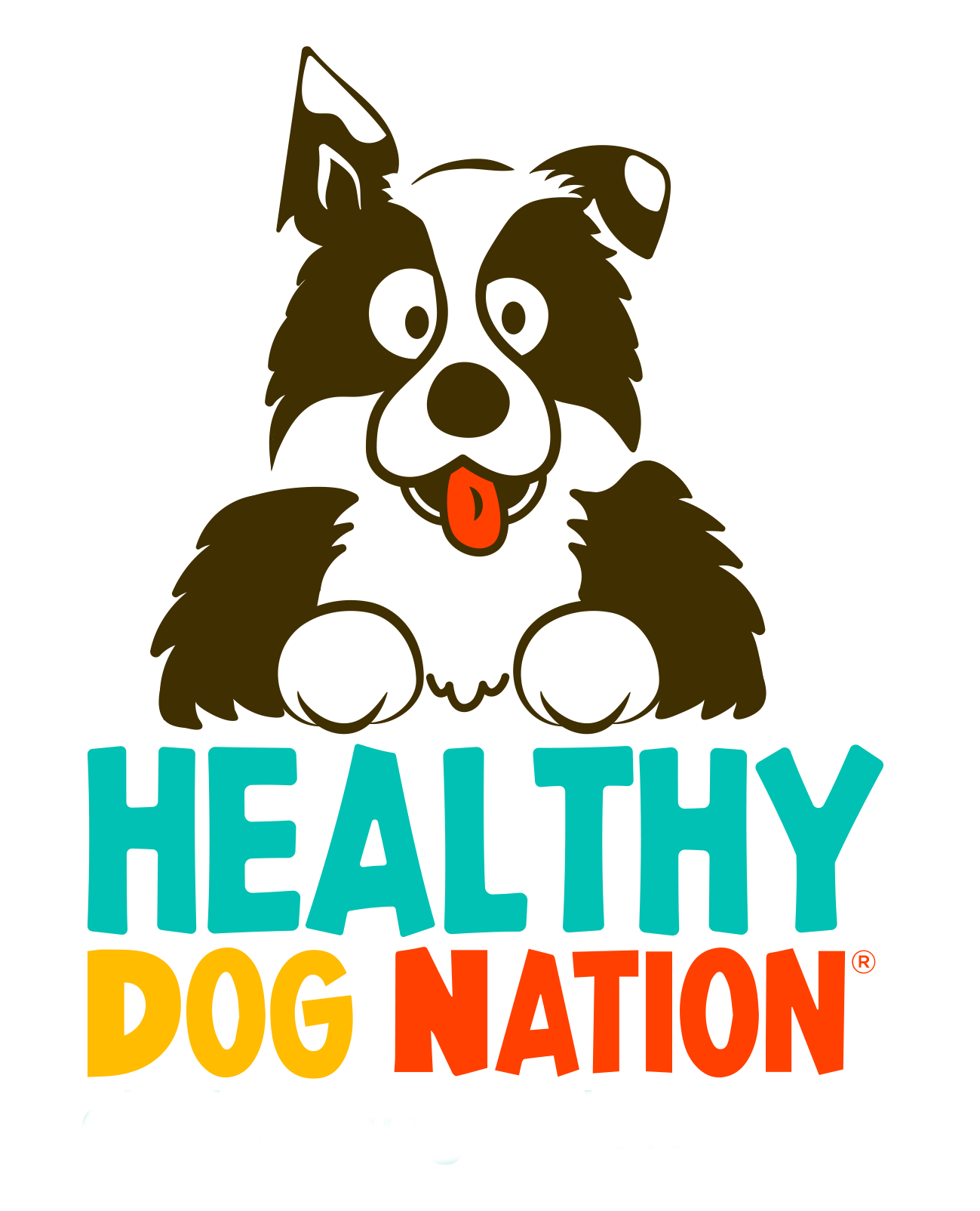 Healthy Dog Nation