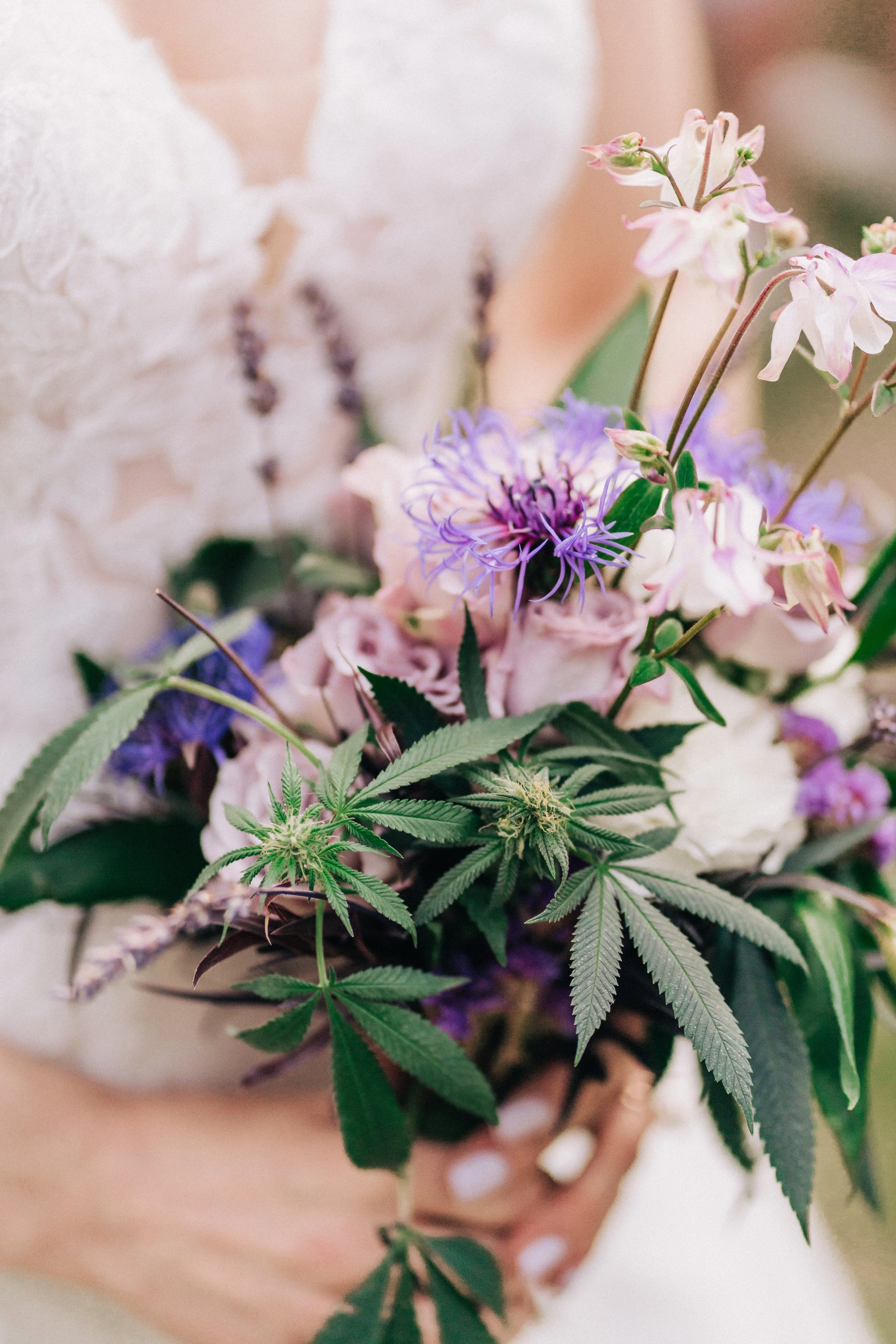 A bouquet with pink and purple flowers and a small cannabis plant in front, held by a person wearing a white lace dress.