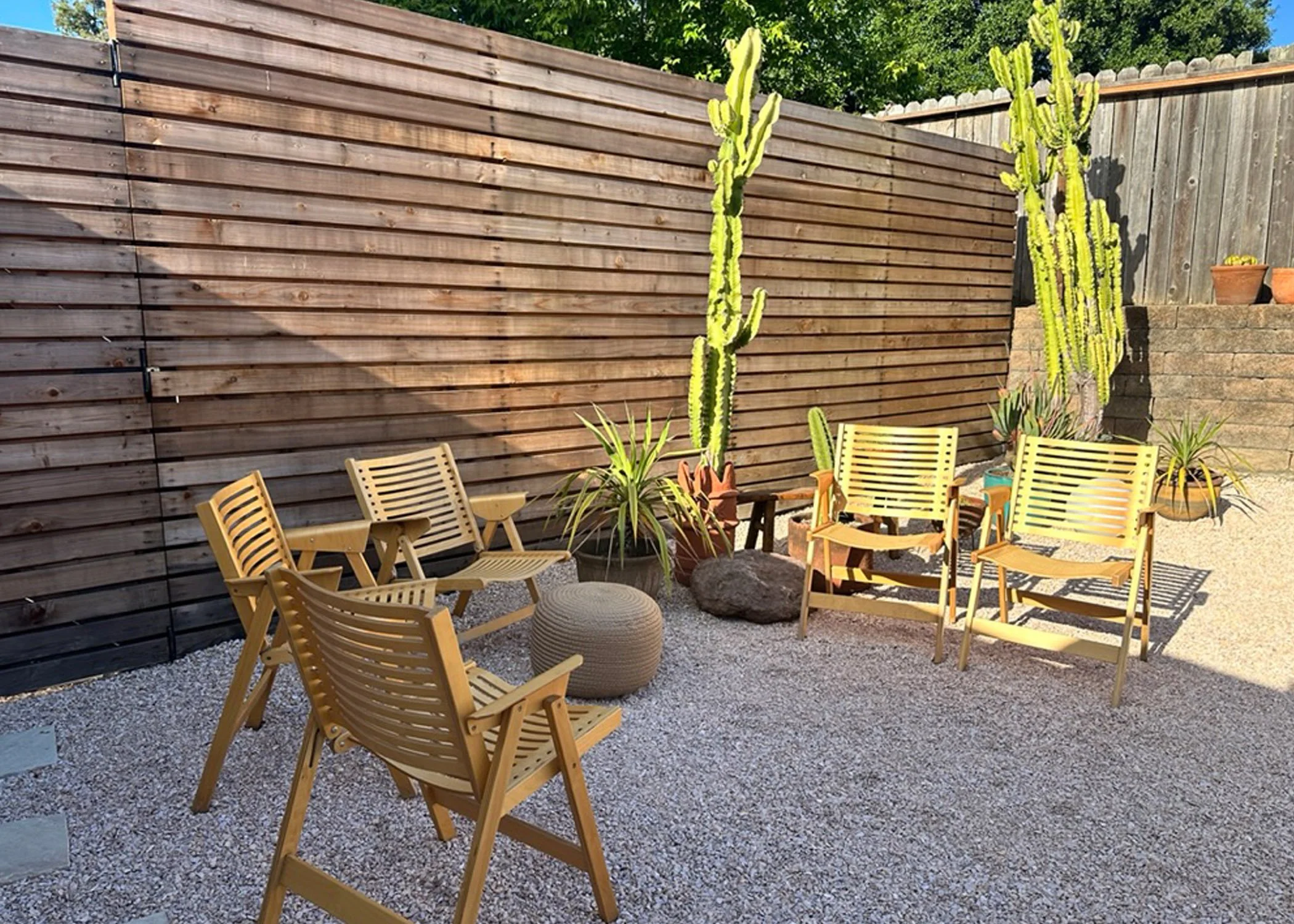 Riviera Libre_Cactus Corner.jpg