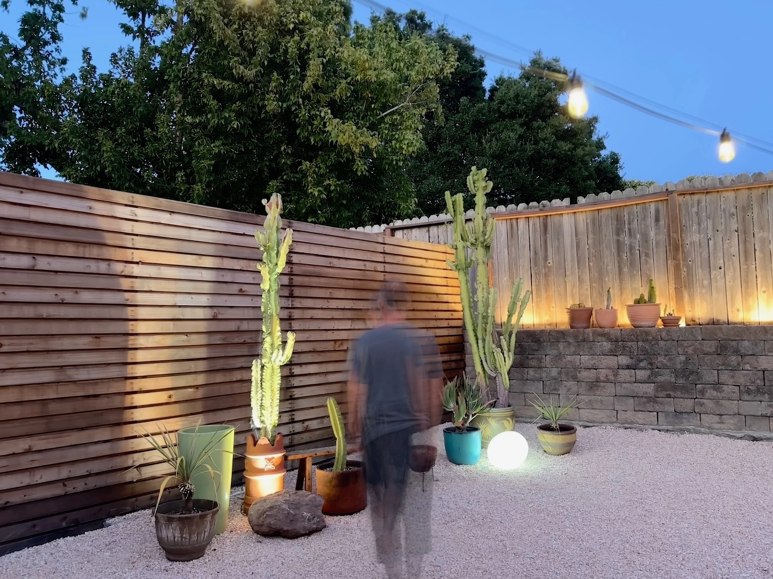 Riviera Libre_Dusk.jpeg