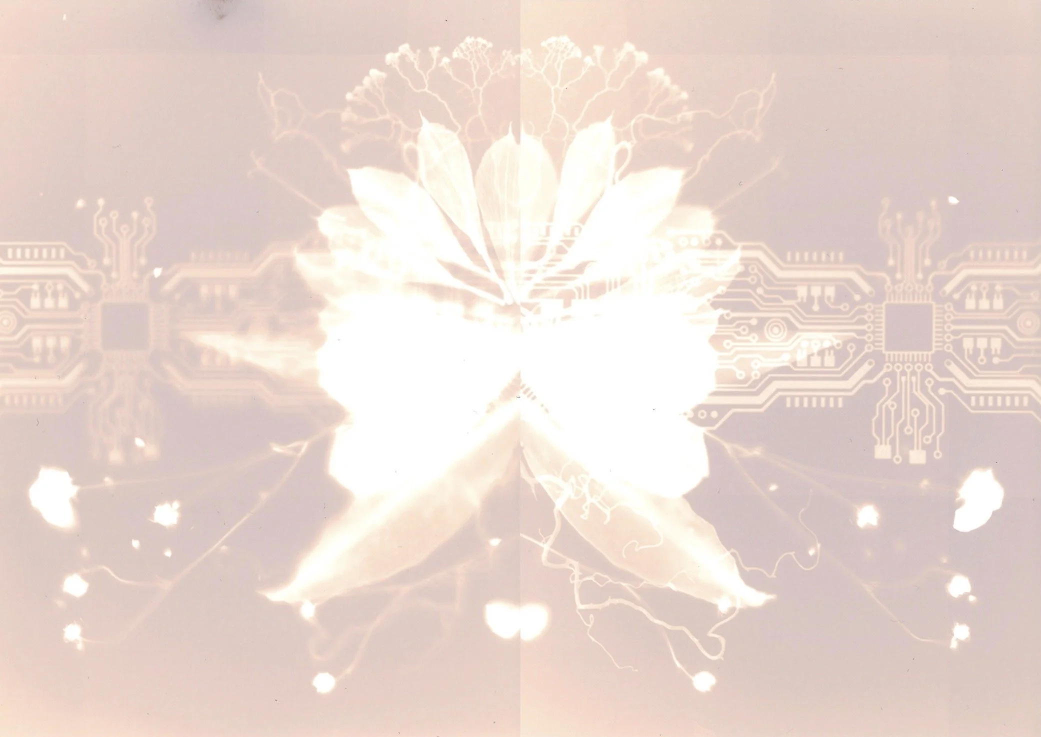 impressio naturae5.jpeg