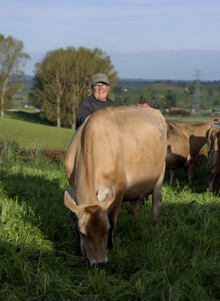 Dairy farmer standing with her Jersey cow in a paddock