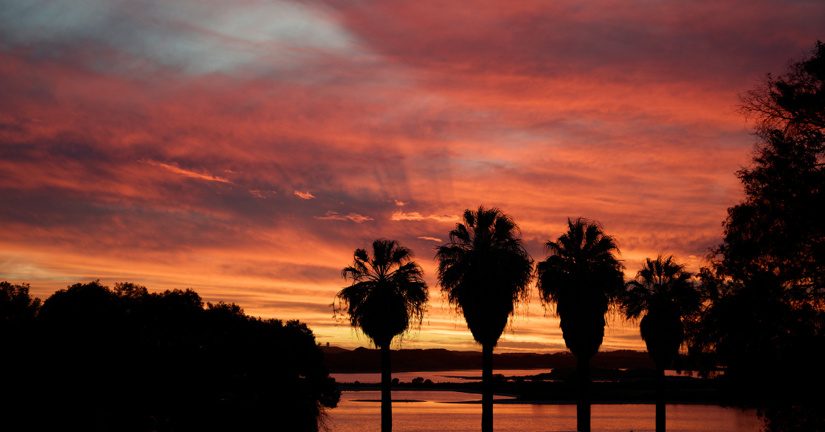 sunset.png