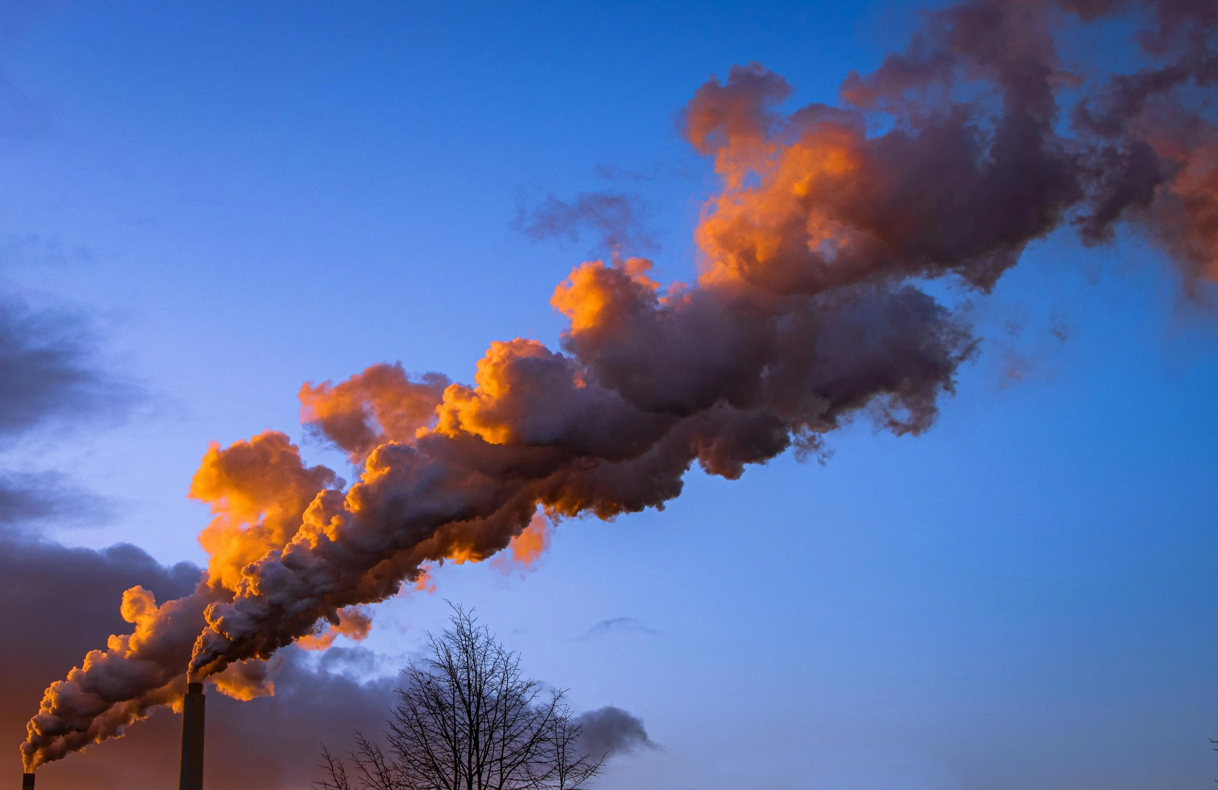 Carbon vs. Consumerism: The State  of Fashion 2025
