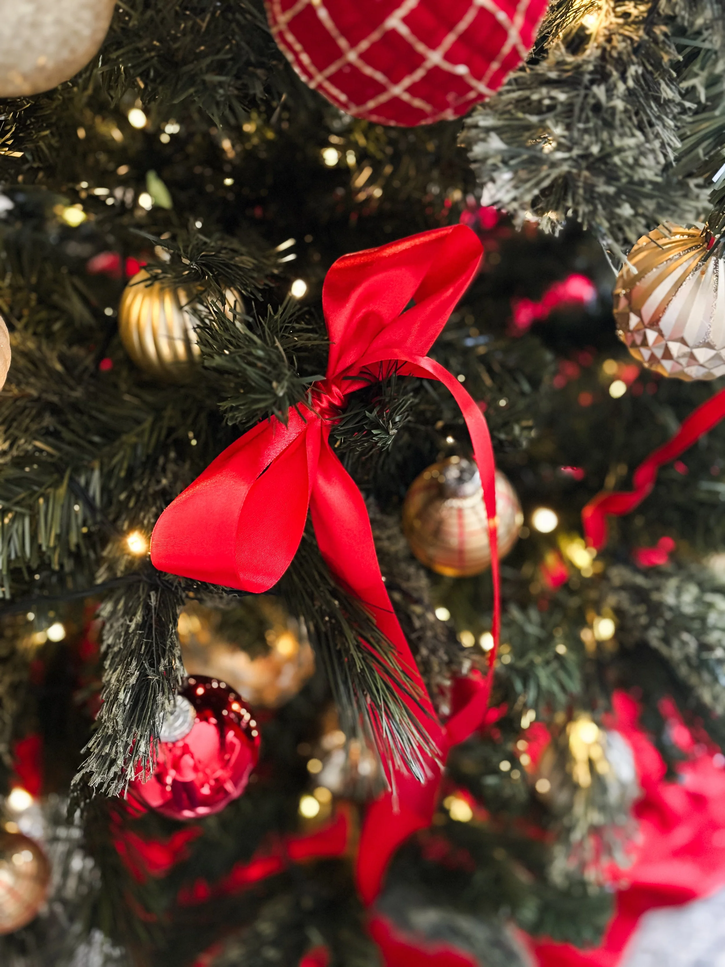 Christmas Around Our Home | 2025