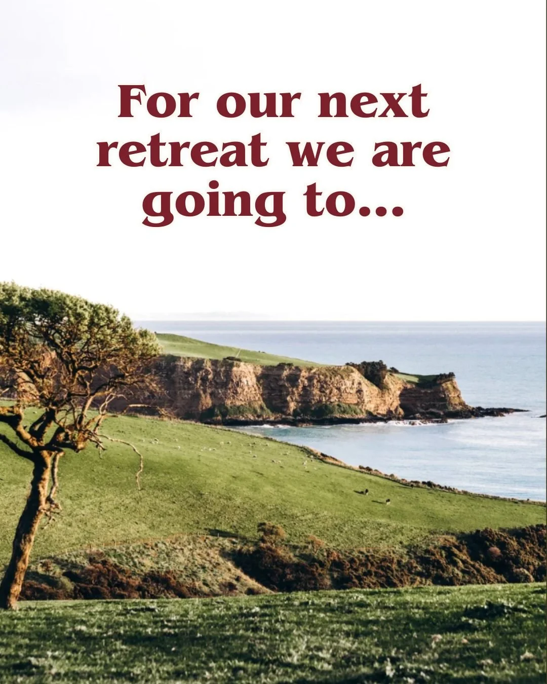 The BWB South Island retreat is officially happening and I am so excited to finally tell you where we're going... 🥁

Banks Peninsula - about 1.5 hours from Christchurch - is one of the most beautiful corners of New Zealand 😍

The venue is a gorgeou