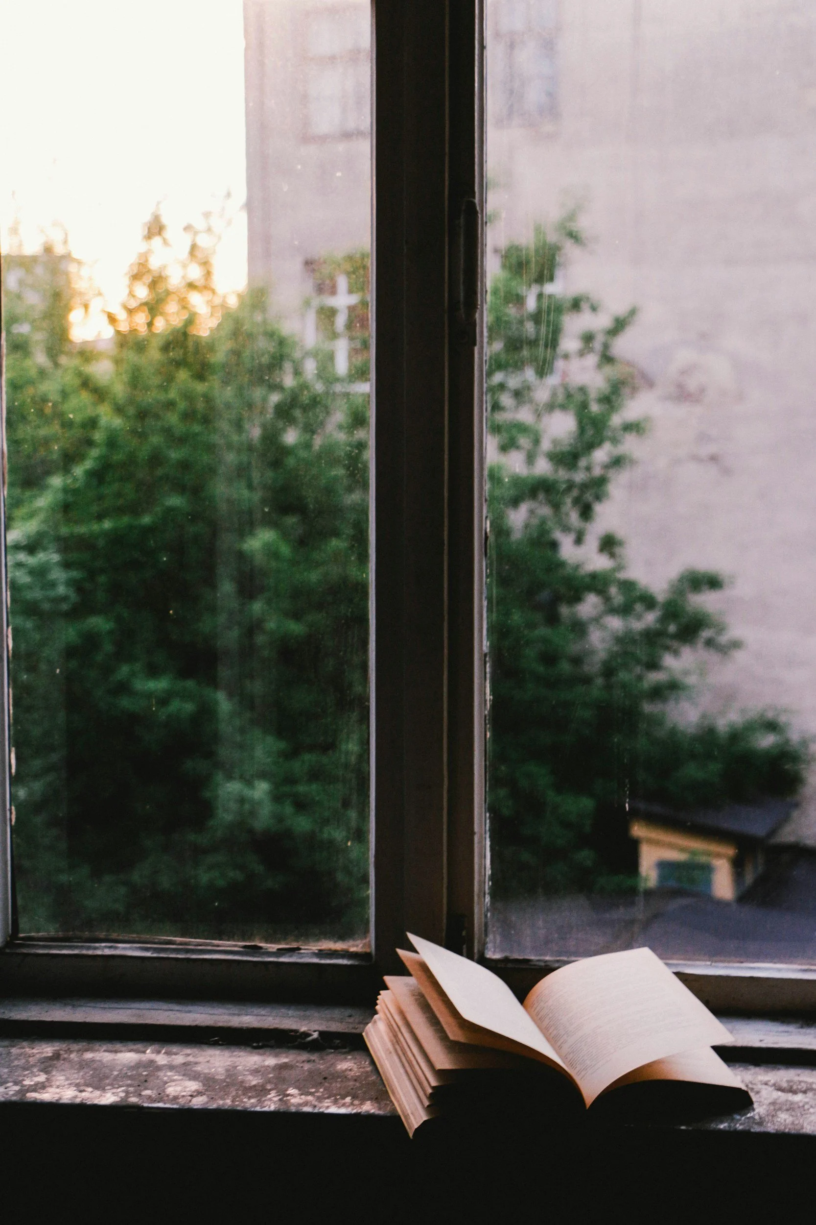 Book on a window sill