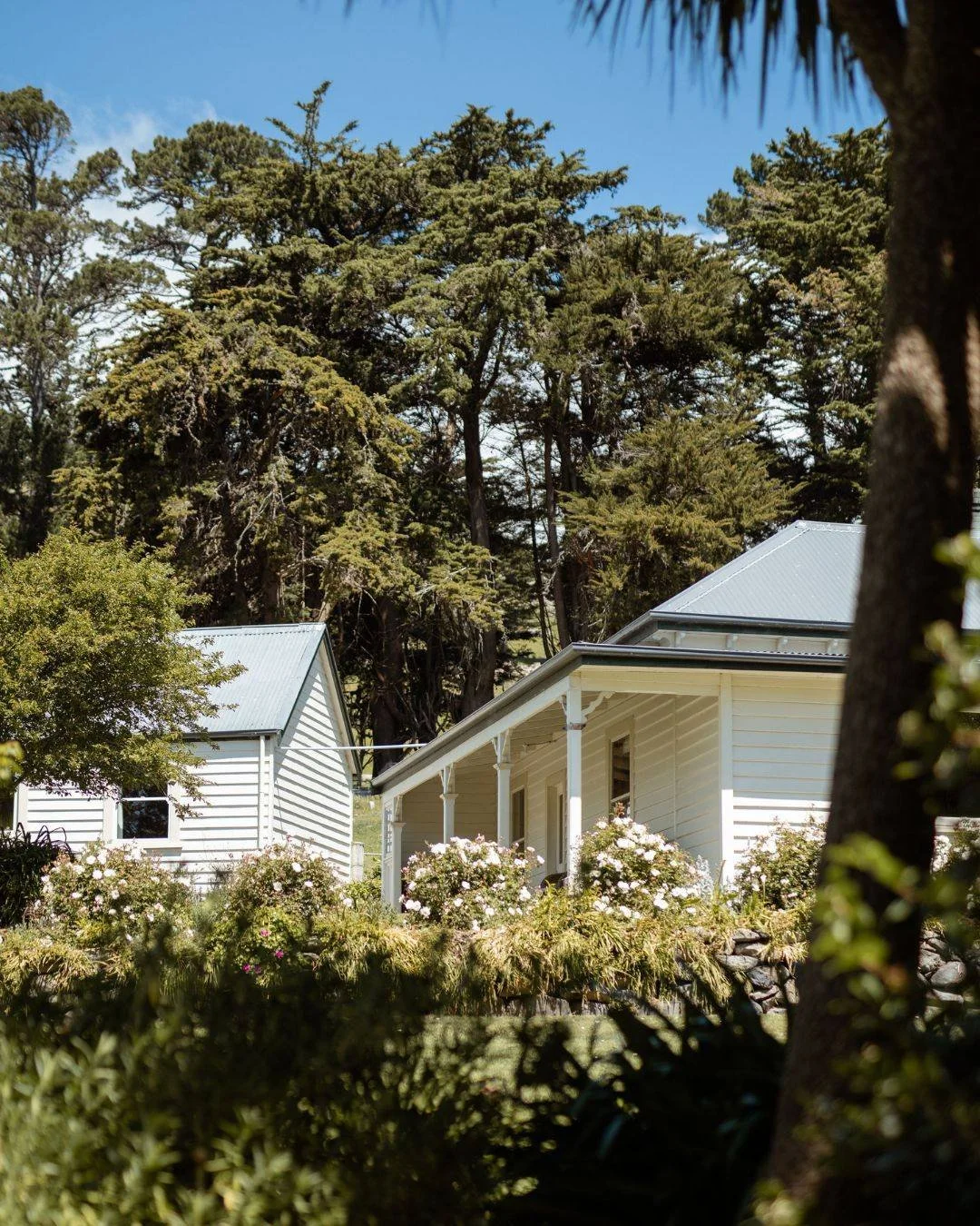 Bookings for our Banks Peninsula retreat are now open to everyone.⁣⁣
⁣⁣
A few limited spots remain for our August 2027 retreat in New Zealand - find all the details on our website &hearts;️