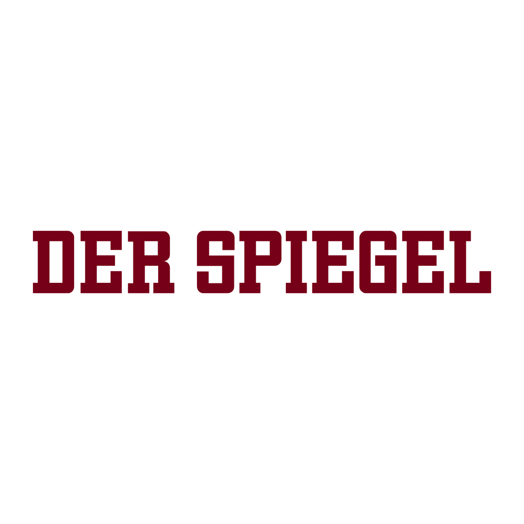 Busy with Books - der Spiegel logo