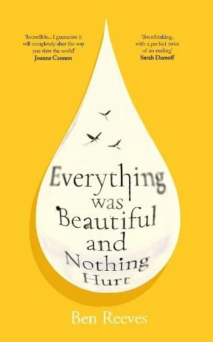Everything was beautiful and nothing hurt - Ben Reeves cover