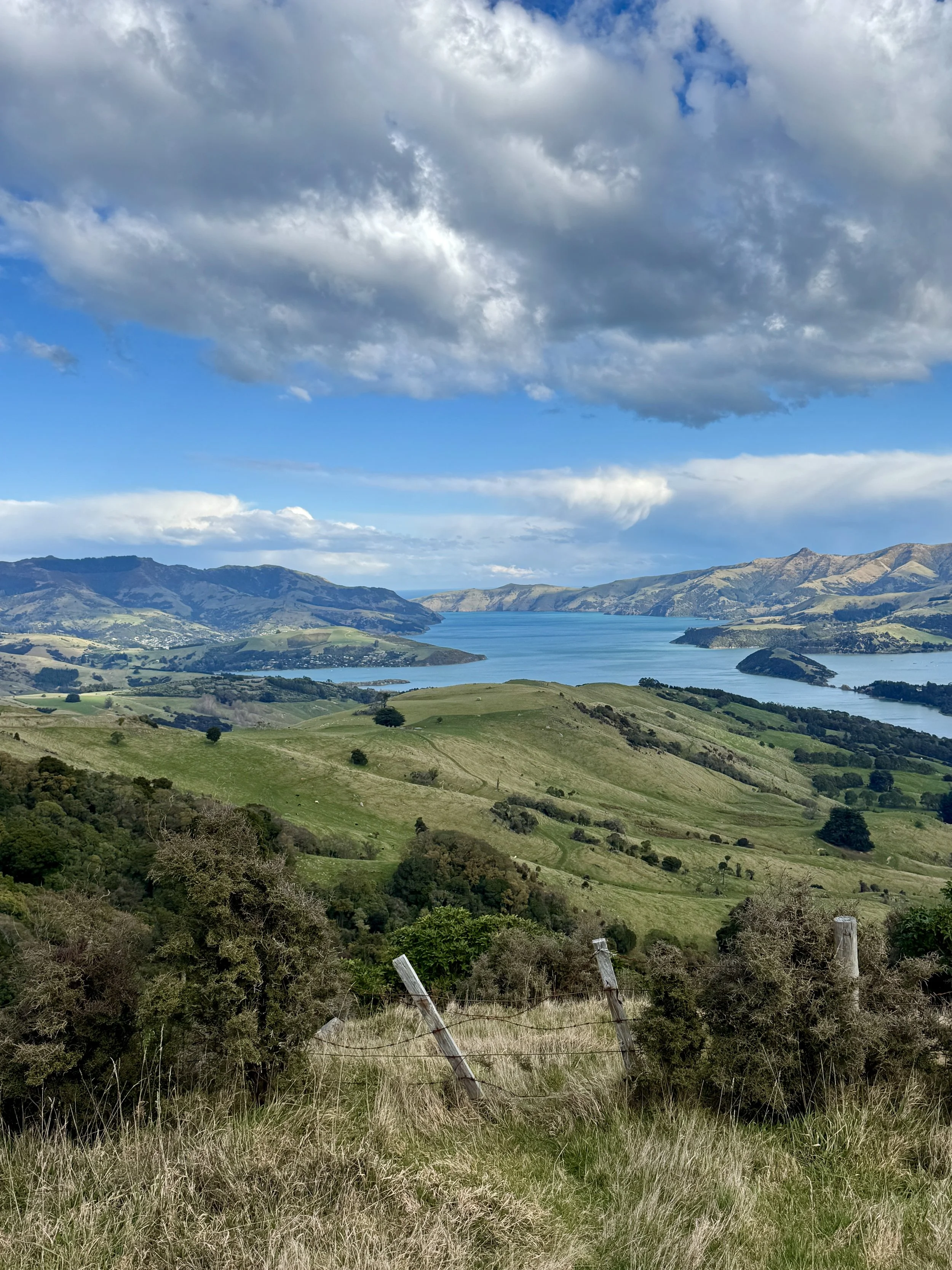 Banks Peninsula views