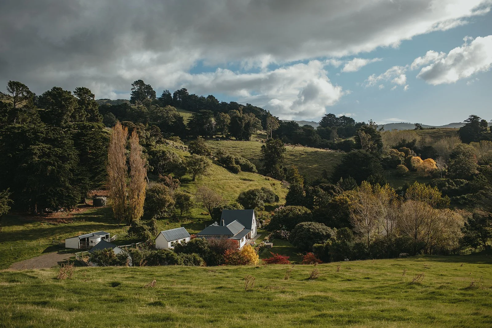 South Island reading retreat busy with books Christchurch New Zealand venue