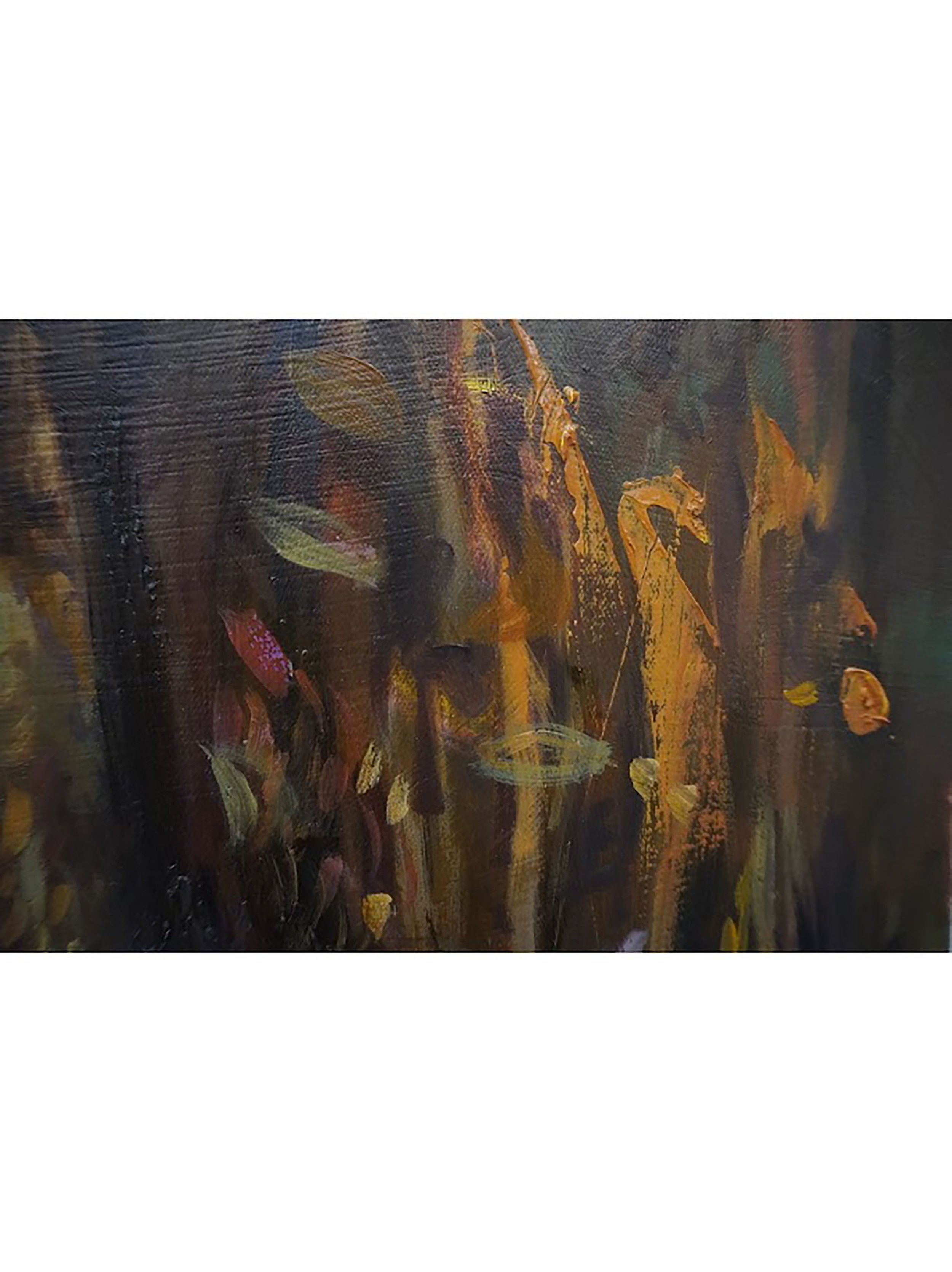 closeup 3 4,  300 dpi.jpg