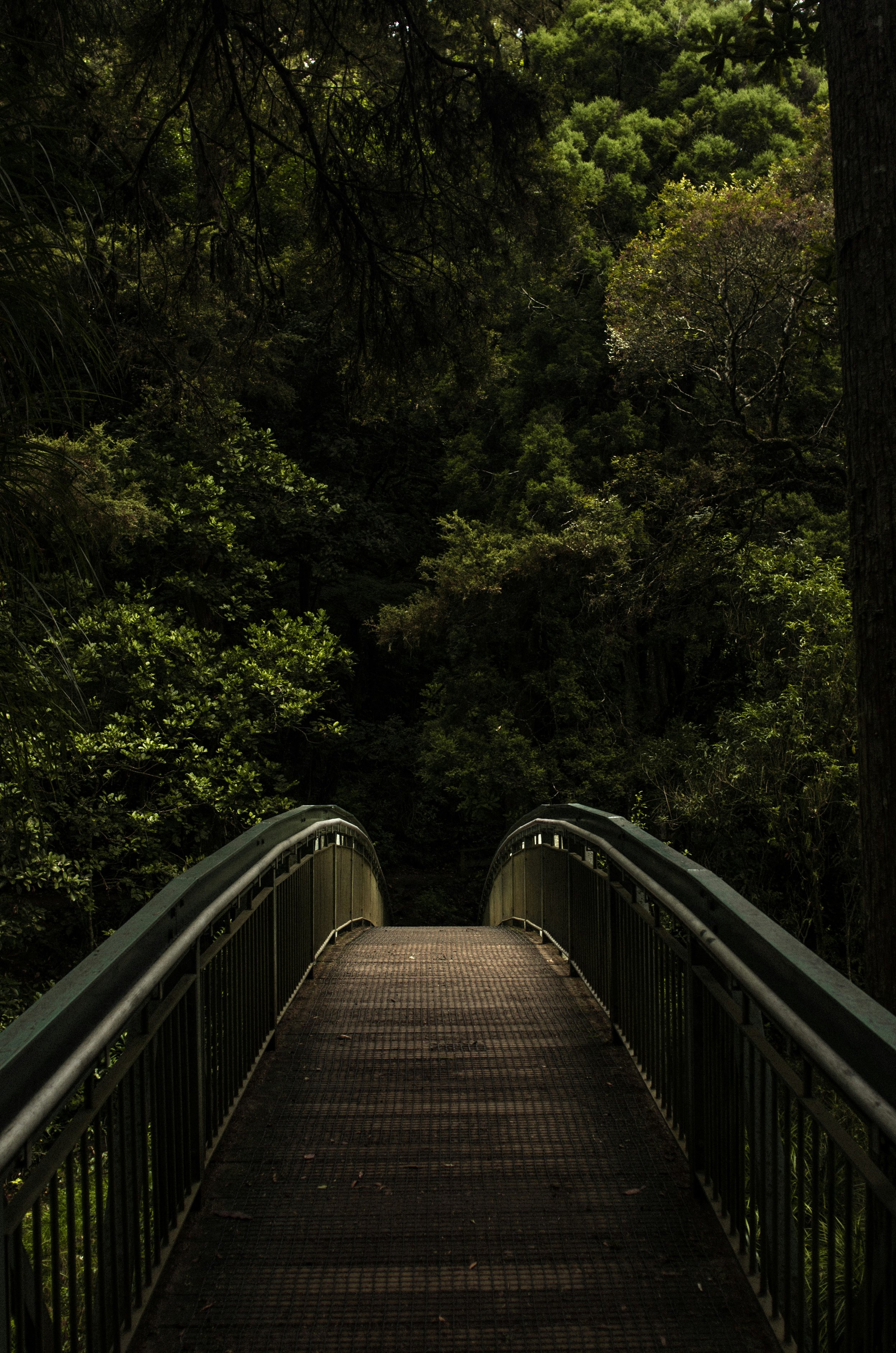 asap-pang-Us2KDzmnUCo-unsplash.jpg