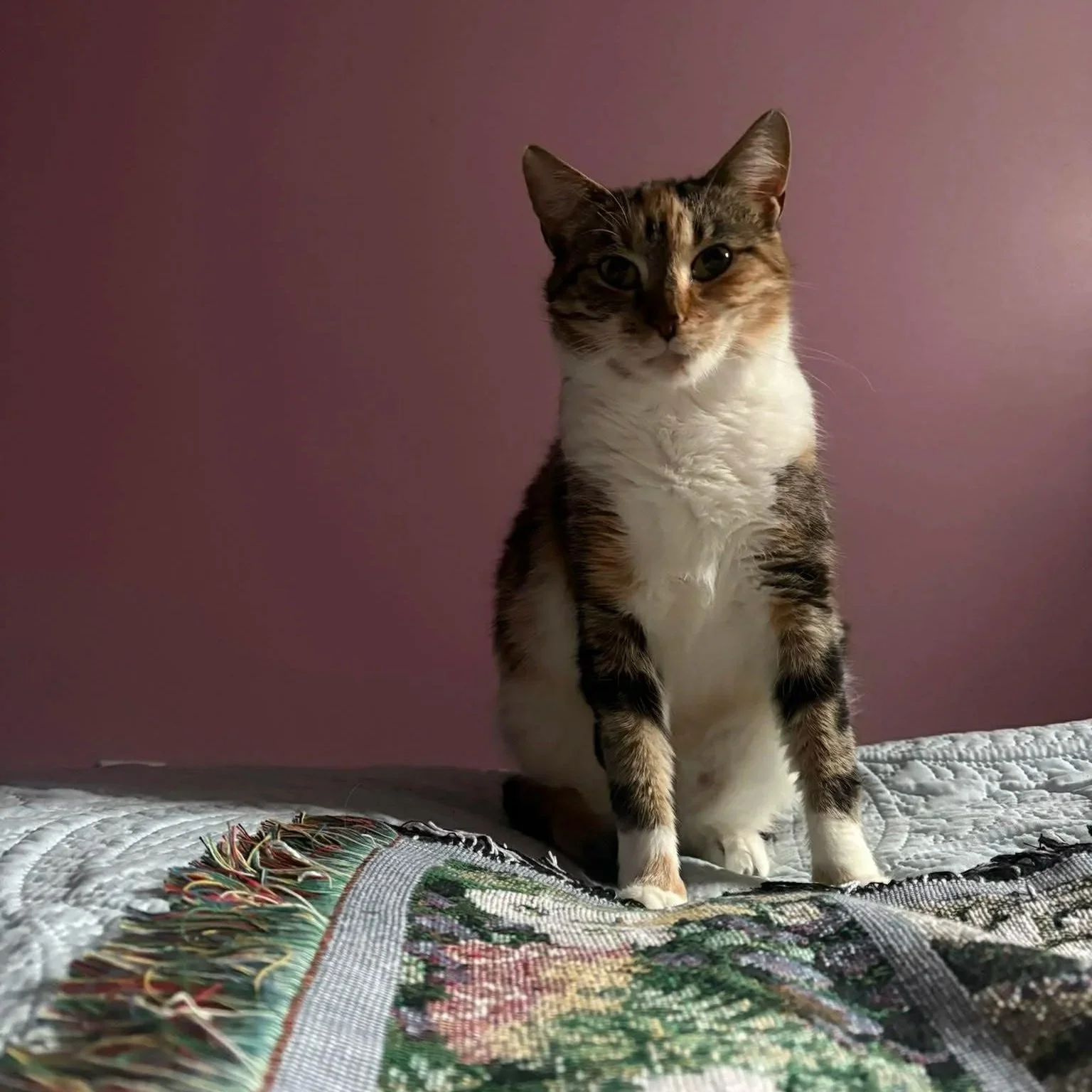 Lucy+2.jpg