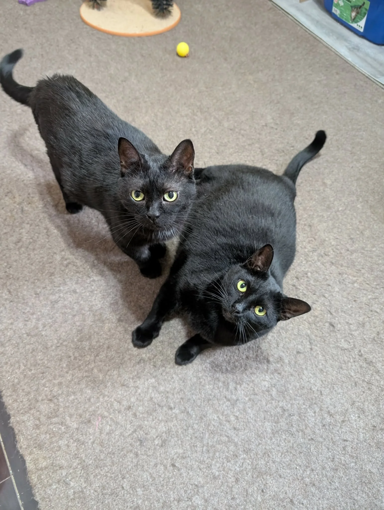 Sara & Mary.jpg