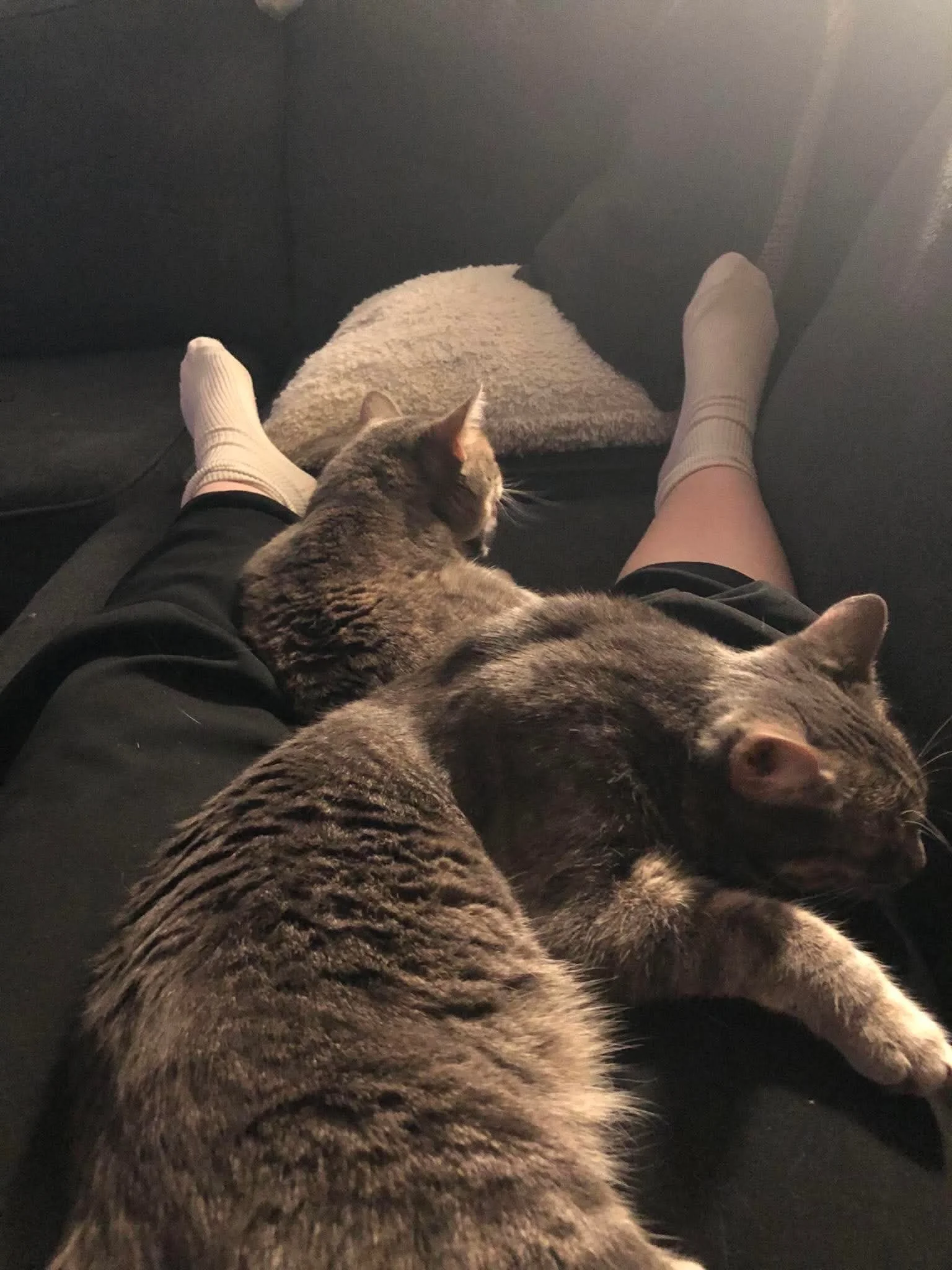 Matilda 8.jpeg