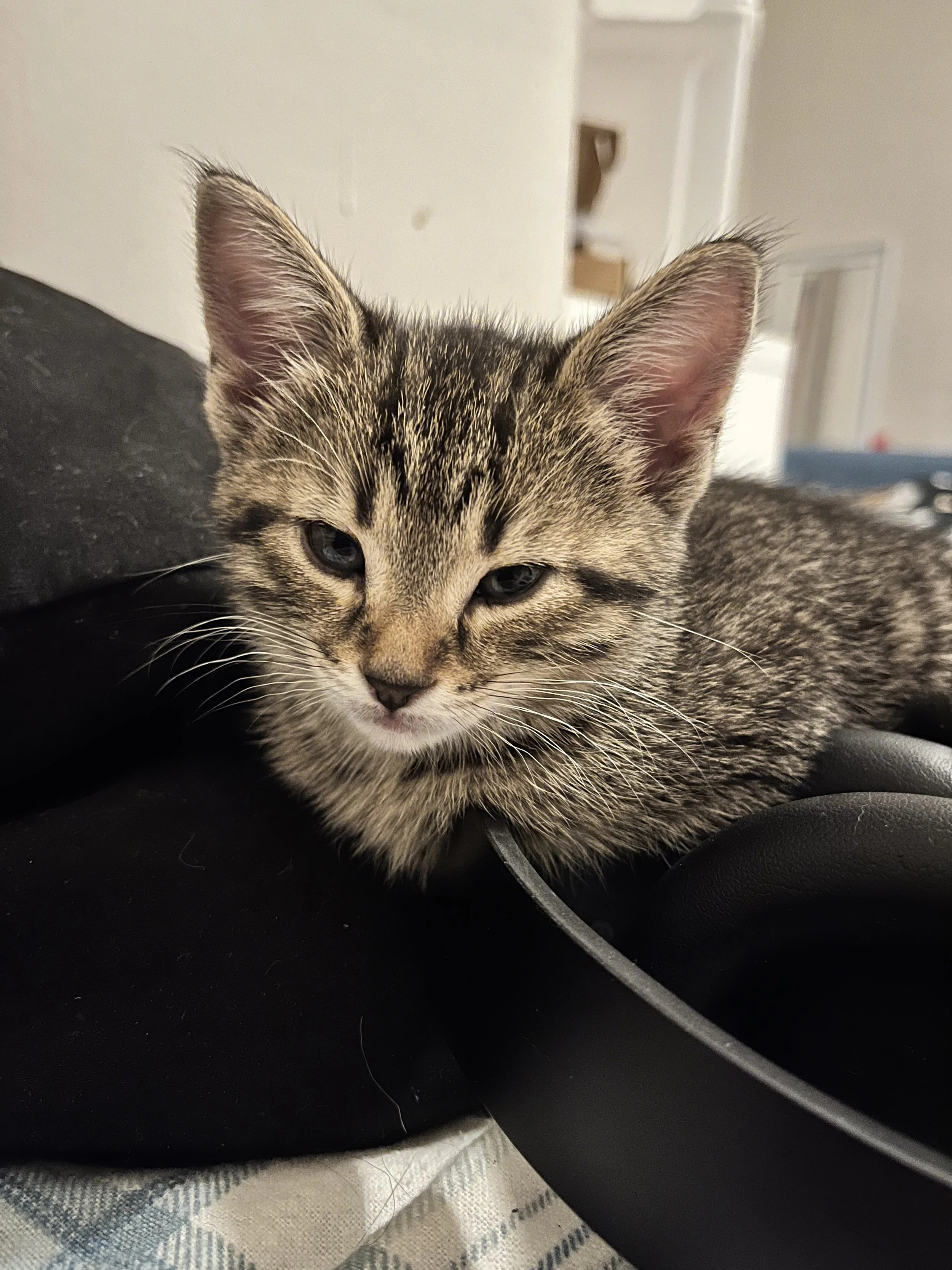 lovey 1.jpg