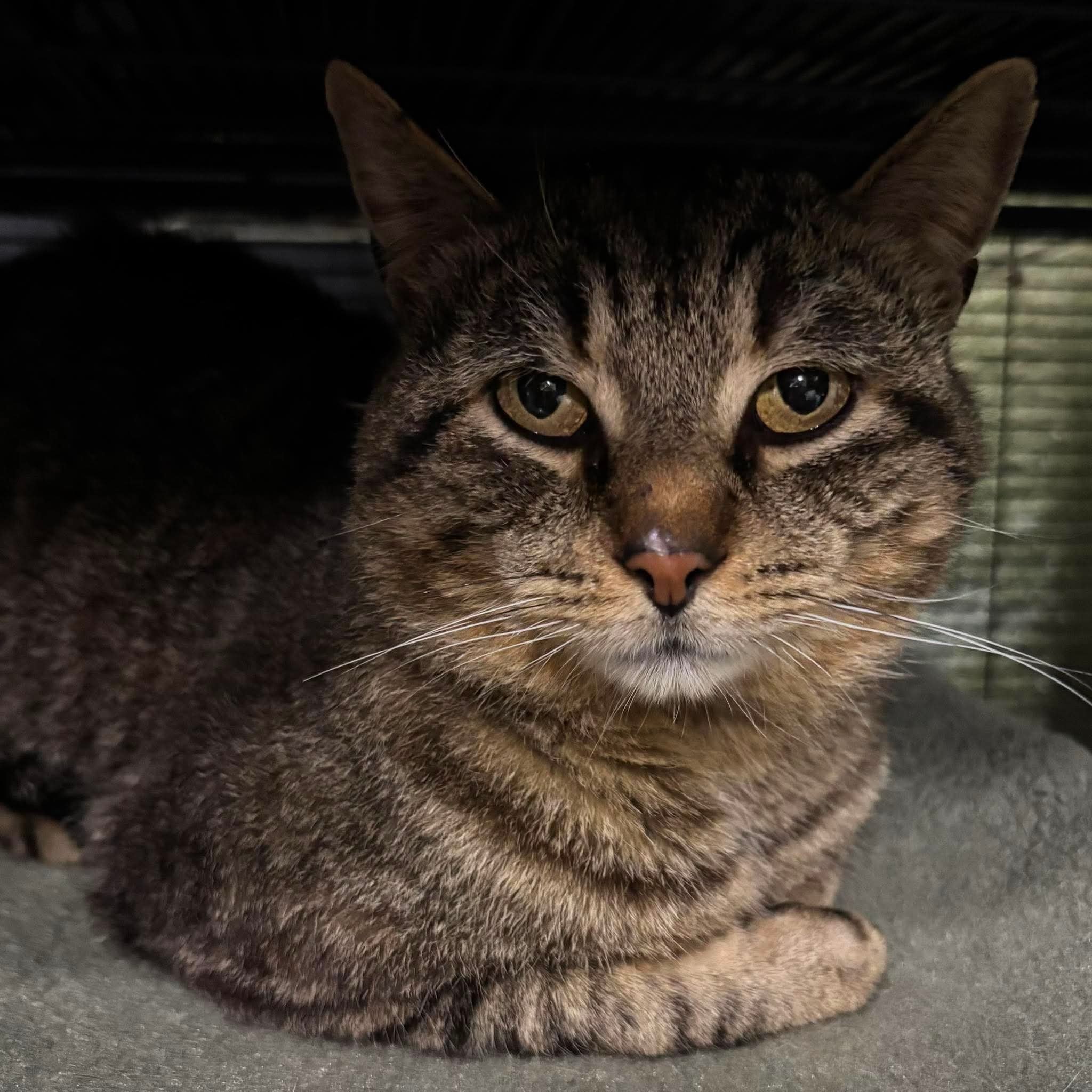 Roger 3.jpeg