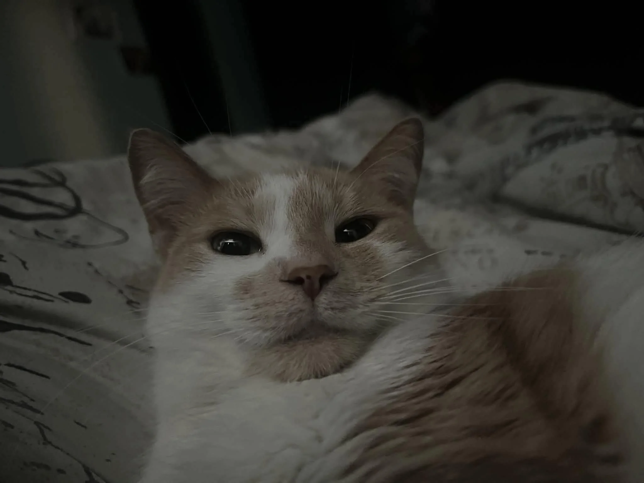 Rosie