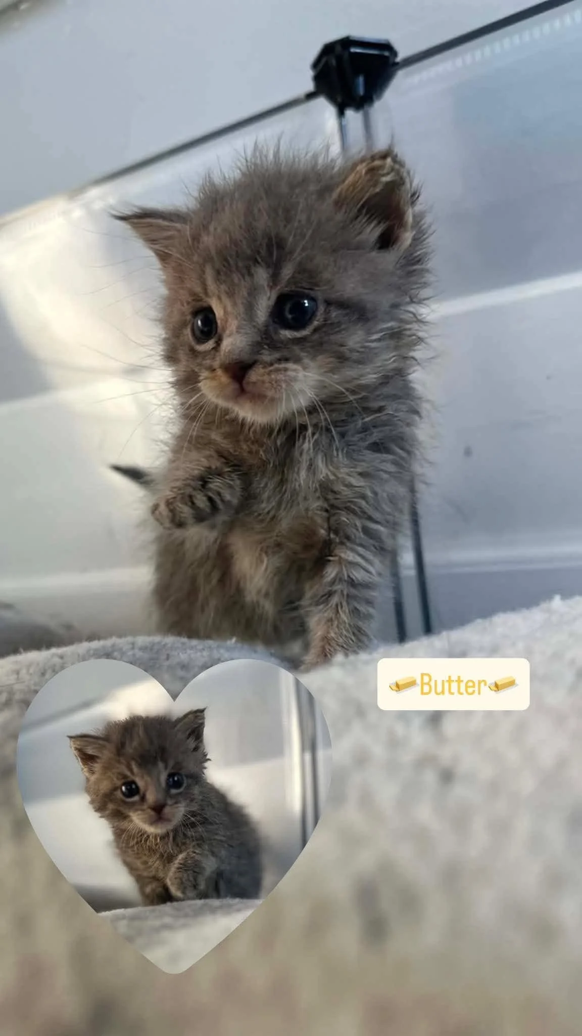 Butter 1.jpg