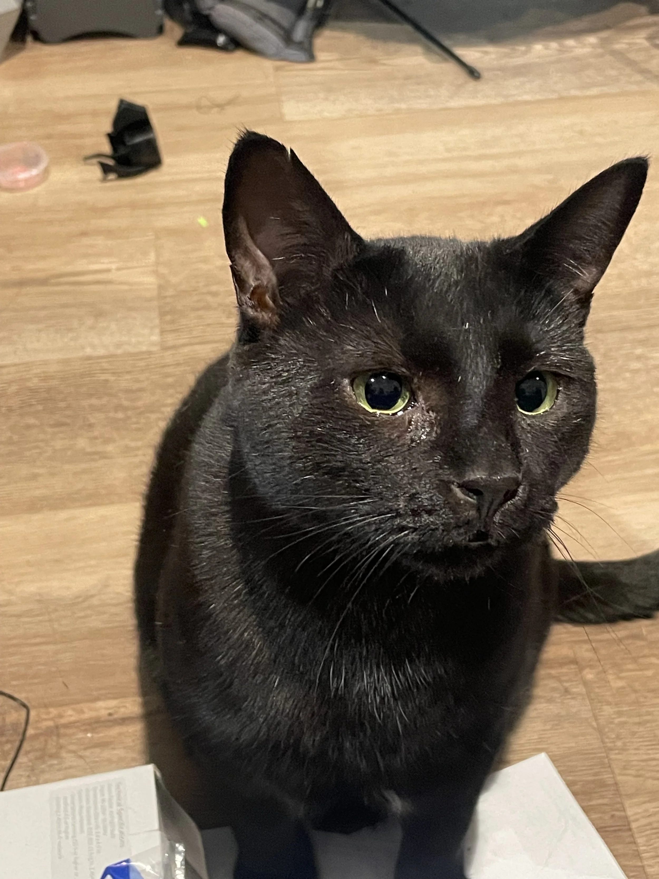 Draven (bonded with Jayce)